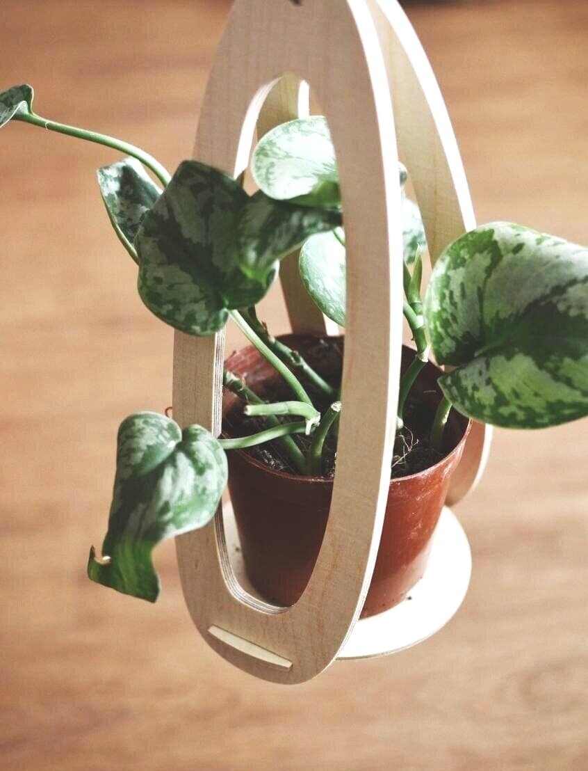 DIY: Hanging Wood Plant Stand - Oblong