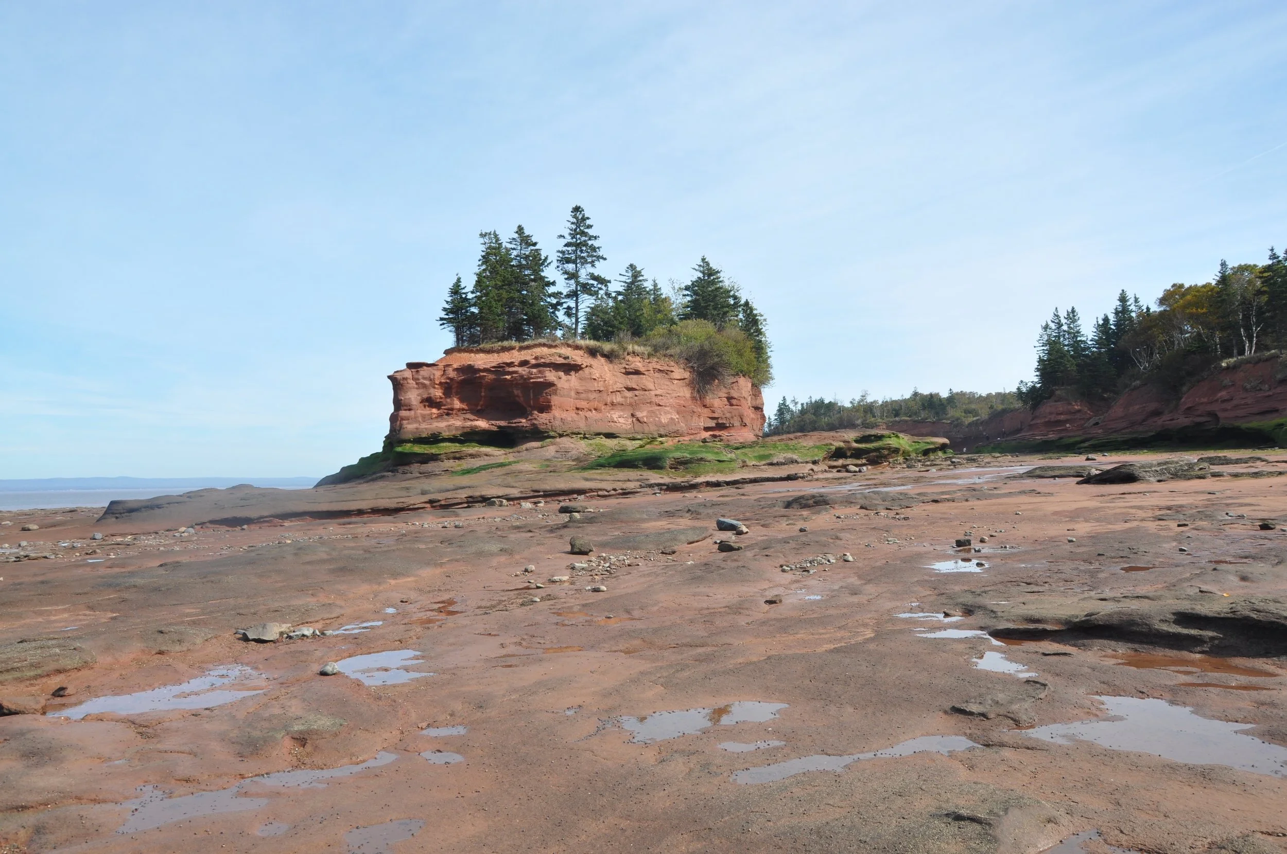 DSC_0427.jpg