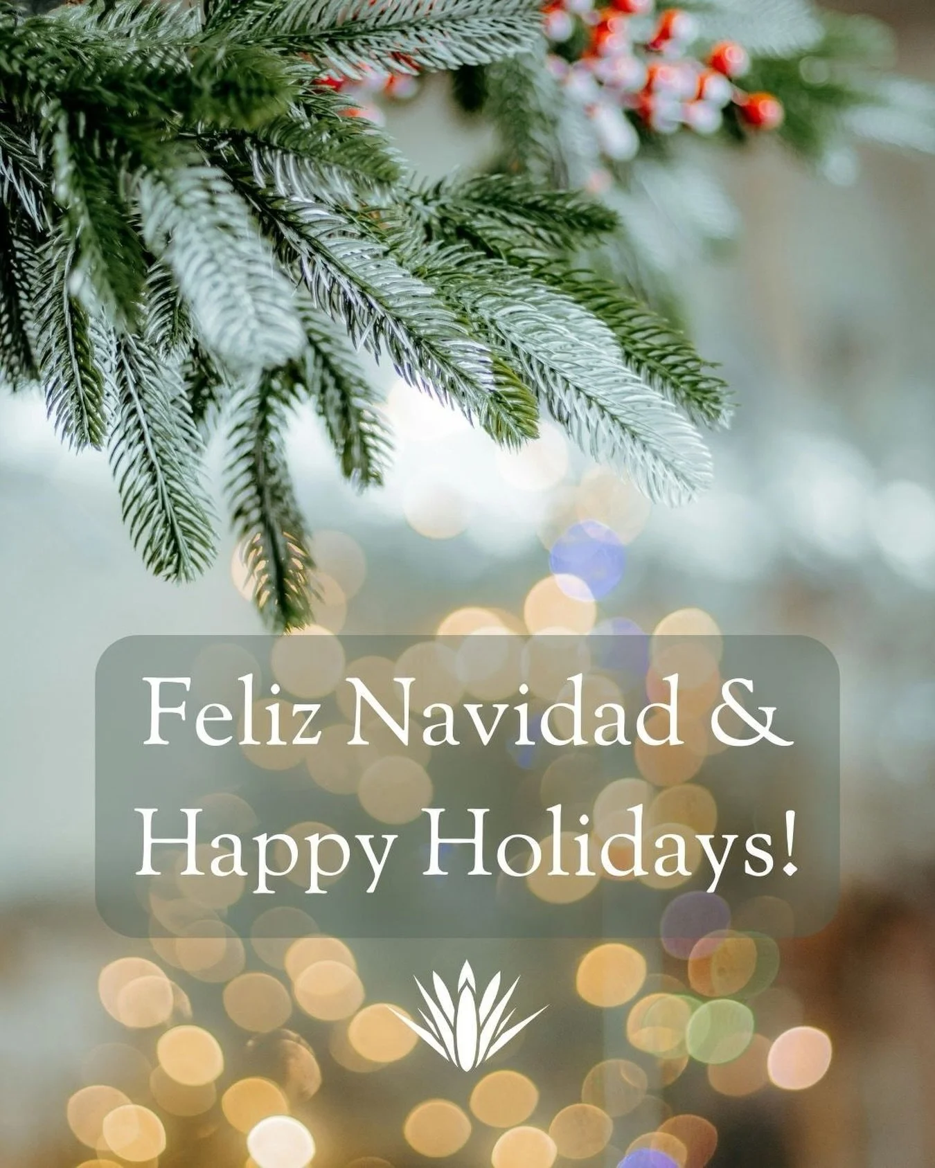 Merry Christmas from Rent Nosara ✨🎄

This season, we&rsquo;re especially grateful for the memories created, the sunsets shared, and the people who trust us to be part of their time in Nosara. Thank you for choosing Rent Nosara as your home away from