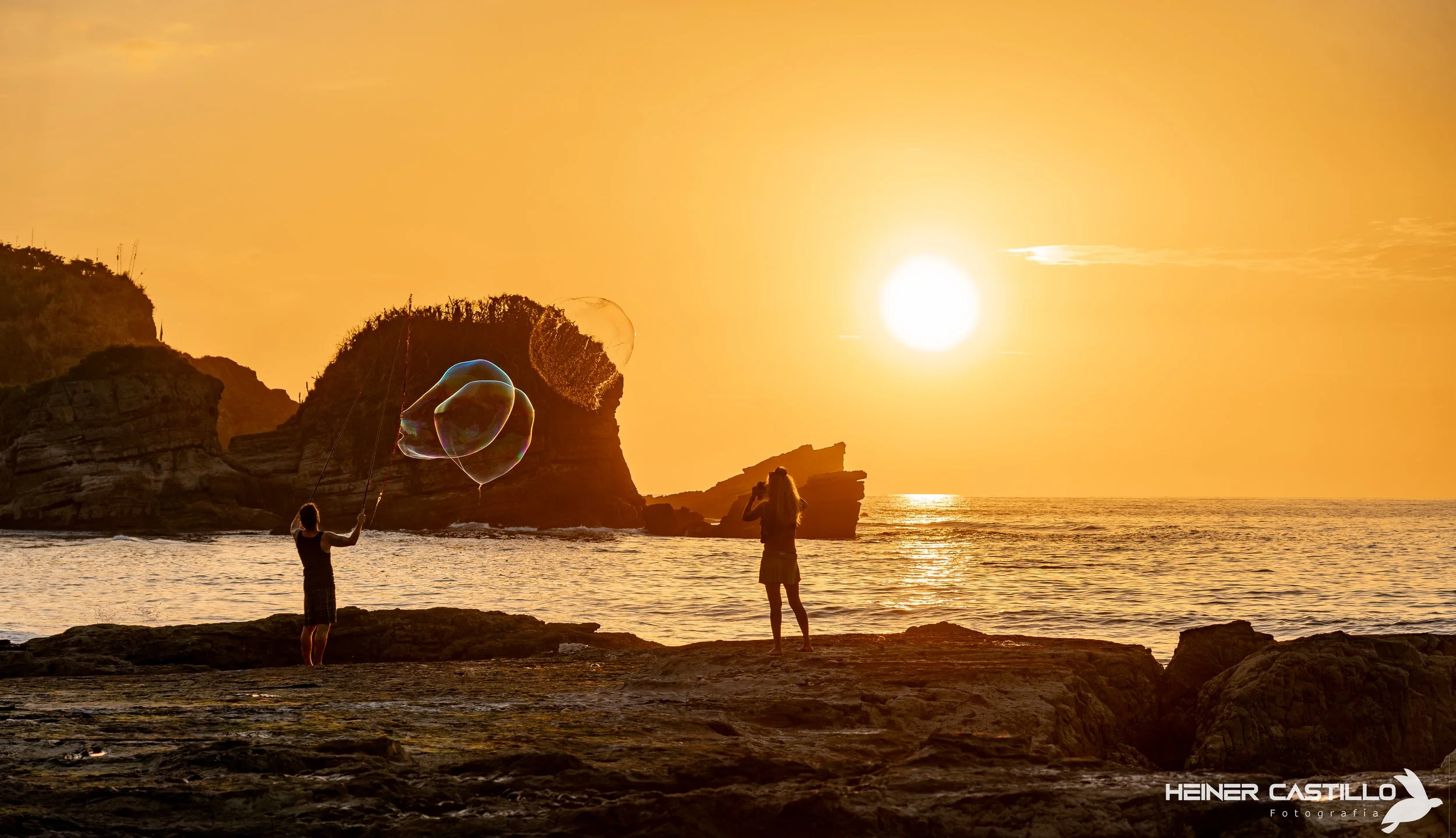 NOSARA FAQs | WHAT YOU NEED TO KNOW