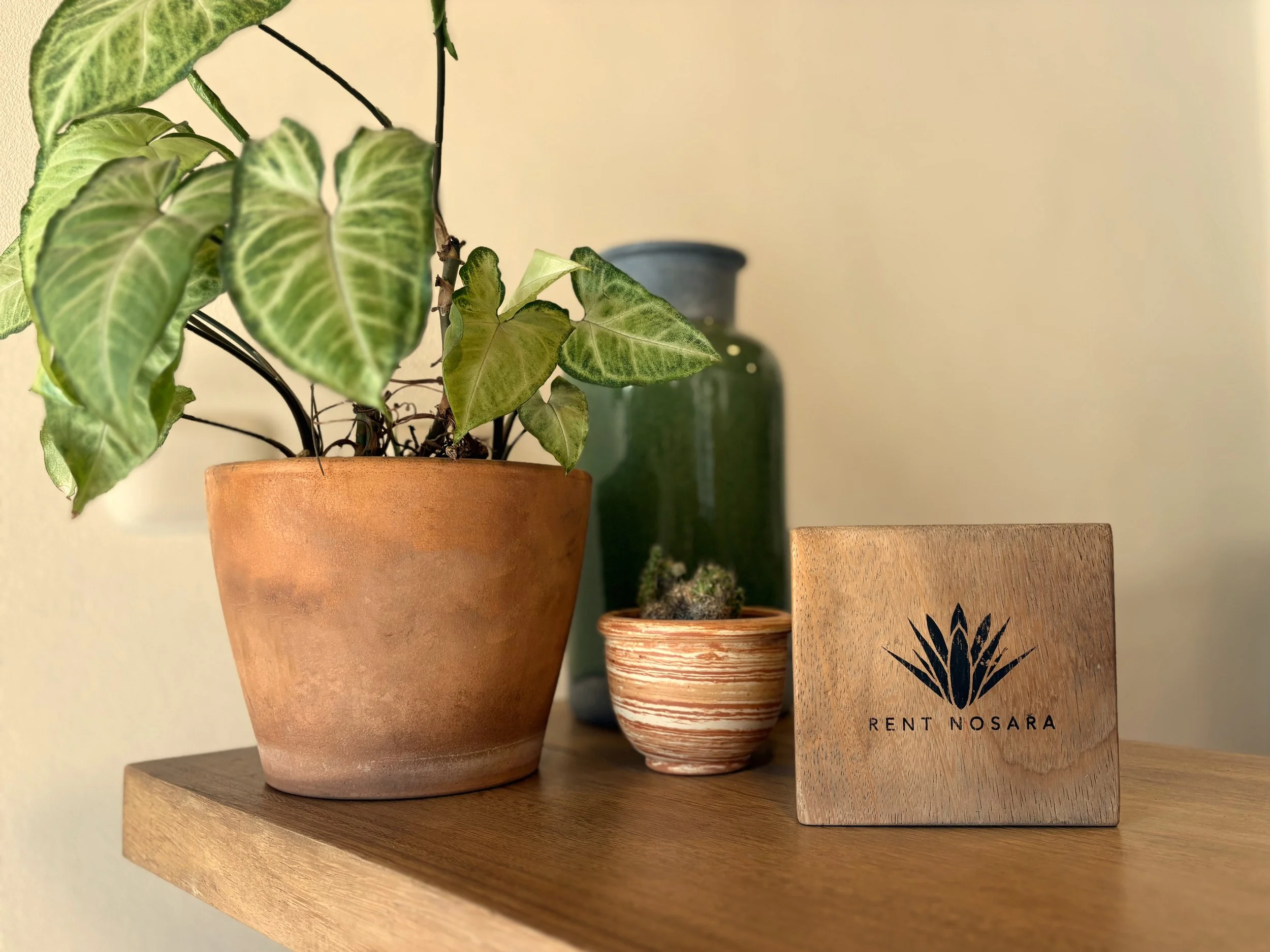 WHY CHOOSE RENT NOSARA | A DIFFERENT APPROACH TO PROPERTY MANAGEMENT