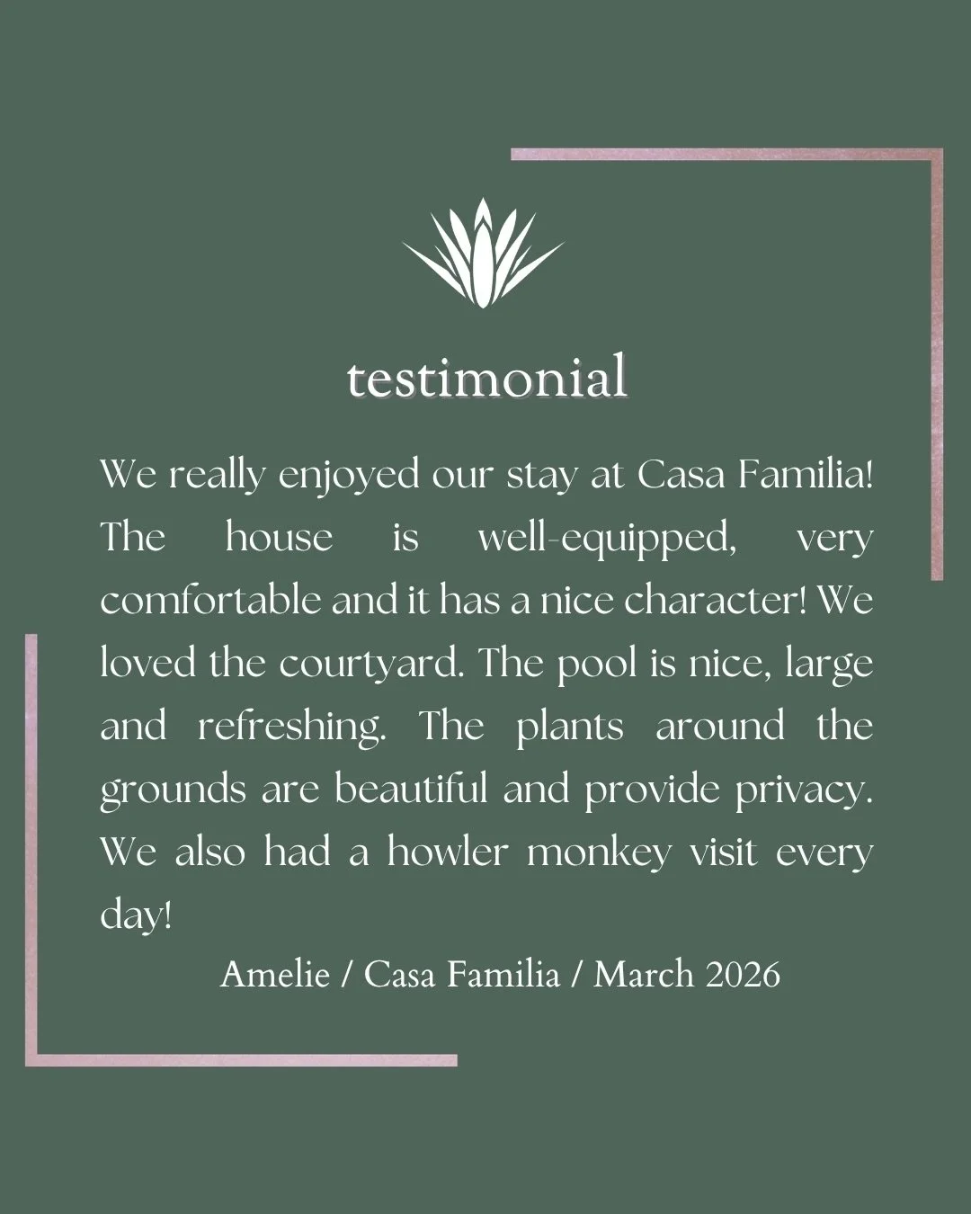 Guest reviews like this say everything.

It&rsquo;s never just about the house&mdash;it&rsquo;s about how it feels to stay there.

Thank you for trusting Rent Nosara.