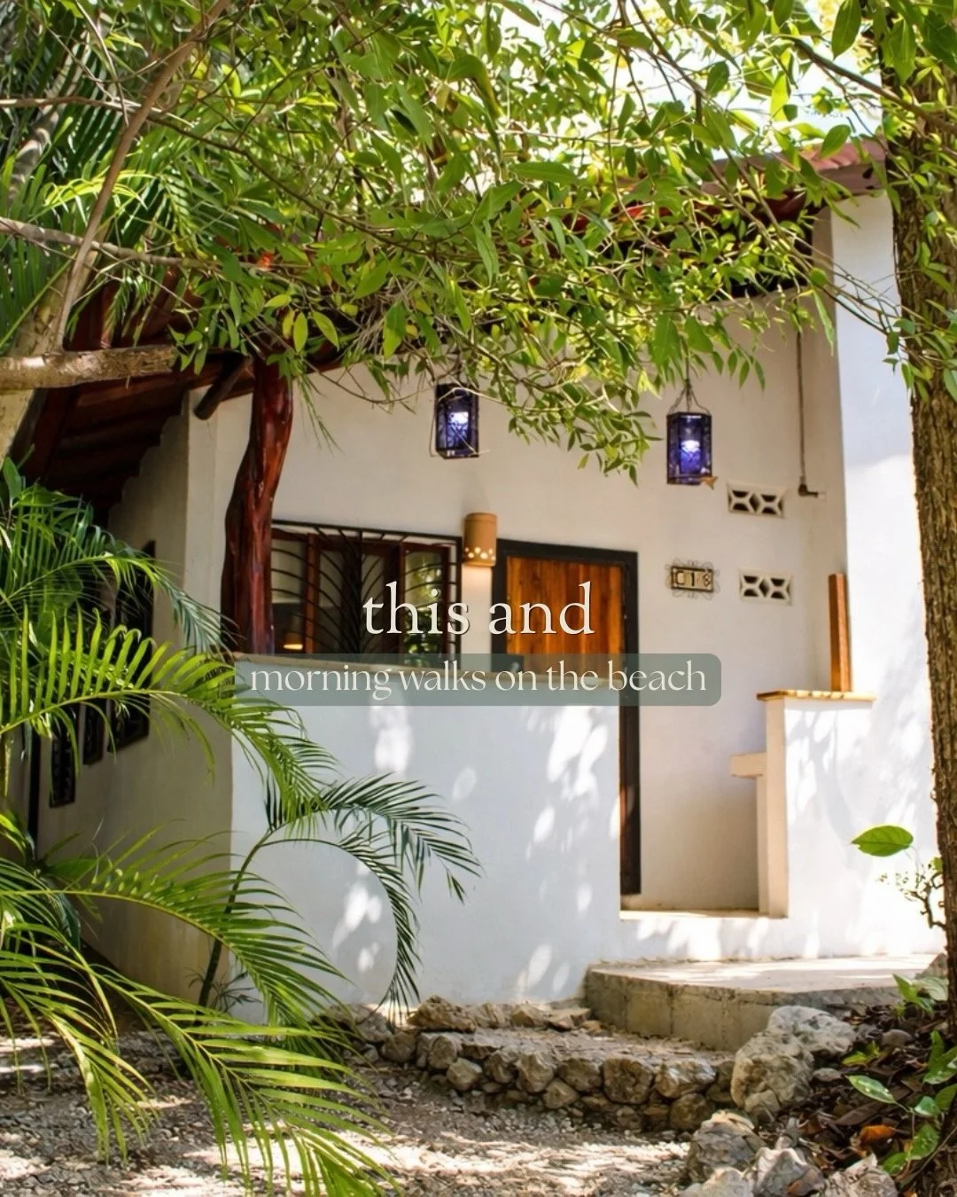 Casa Familia is the perfect place to unwind. 

Nestled in the jungle, walking distance to Pelada and La Luna, cozy vibes.