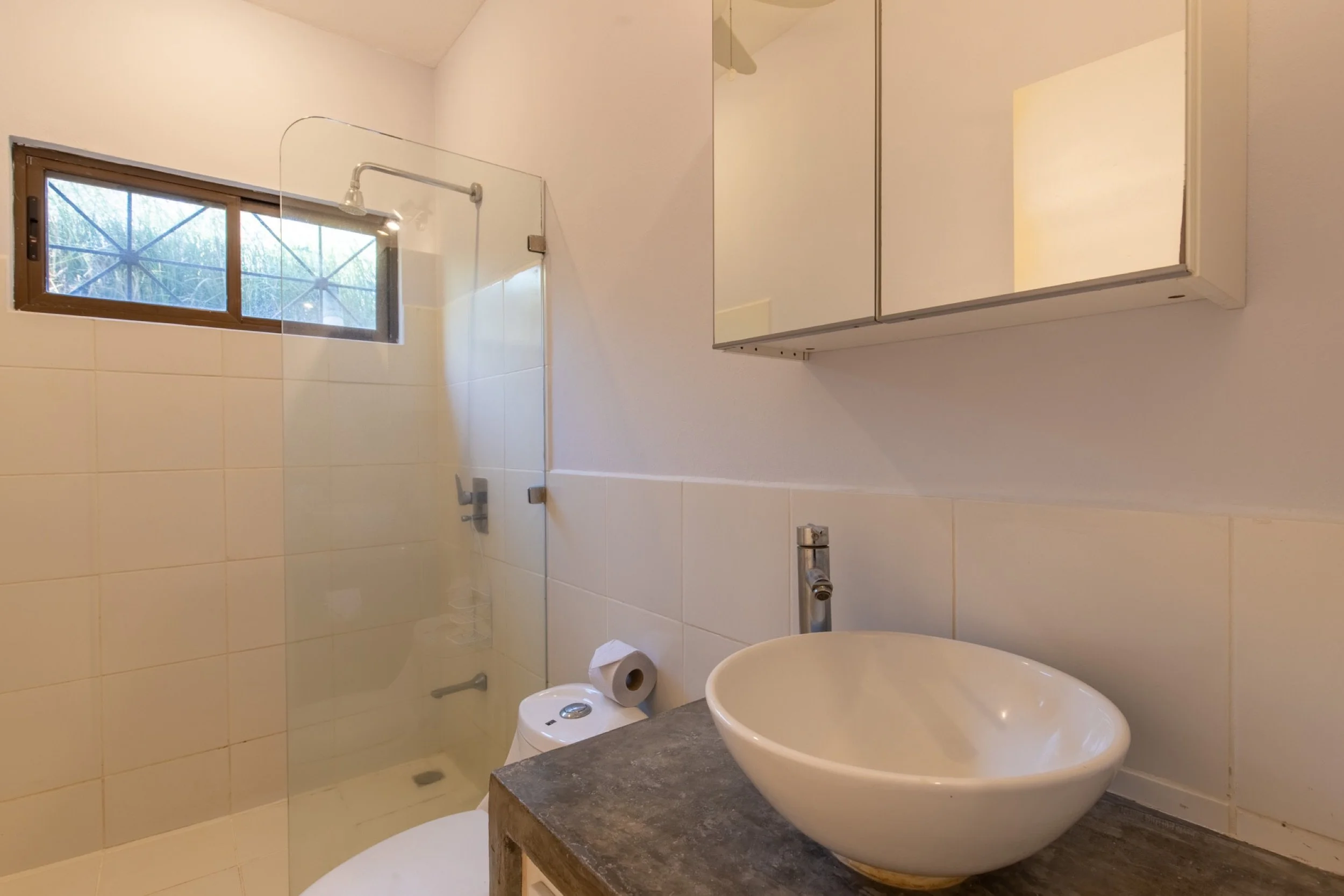 Tribeca-Lower-Rent-Nosara-8.jpg