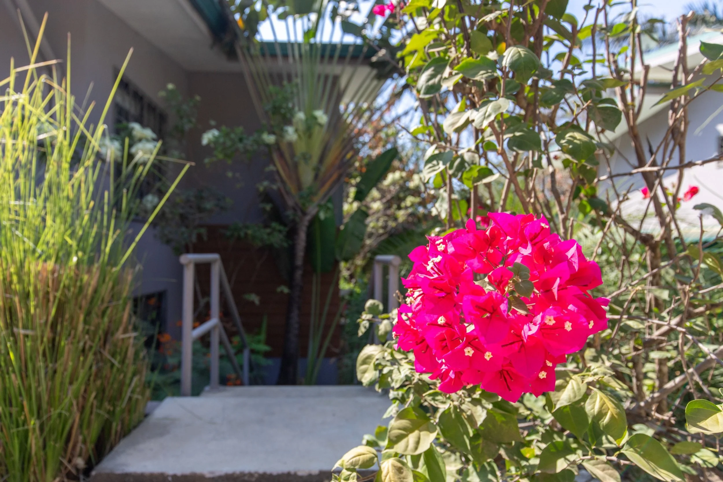 Tribeca-Lower-Rent-Nosara-23.jpg