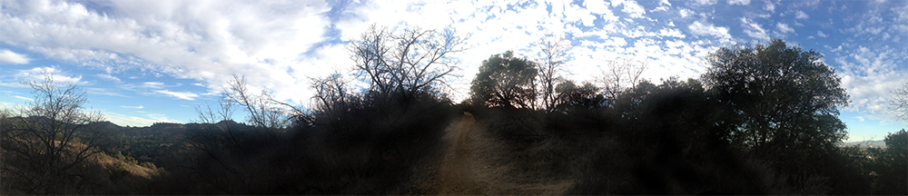 Fryman Canyon trail, Los Angeles.