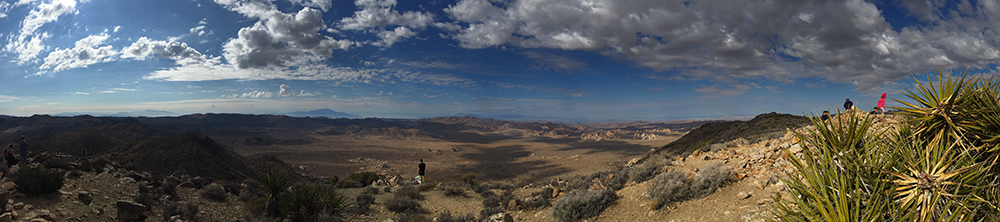 View from Ryan Mountain, Joshua Tree National Monument, California.