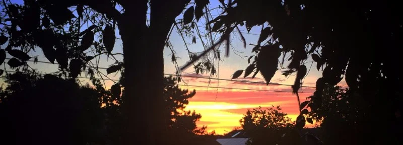 Waiting for moonlight, Ashland, Oregon