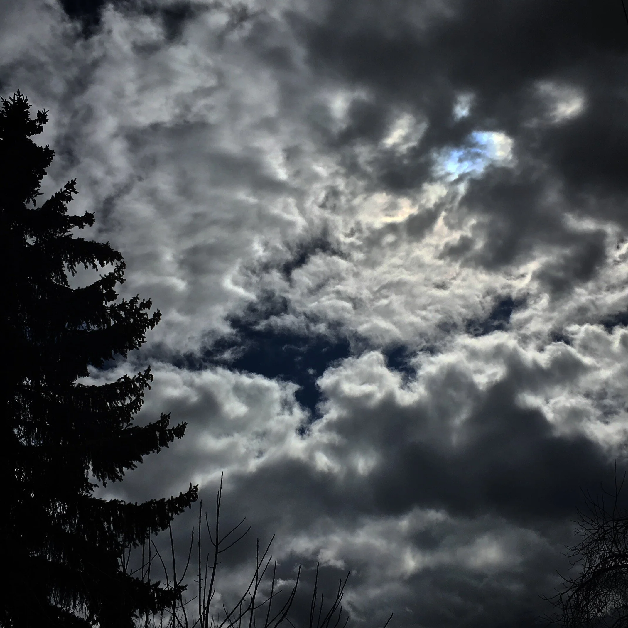 F9726403-74B1-4648-A935-EE8FACBAC242.jpeg