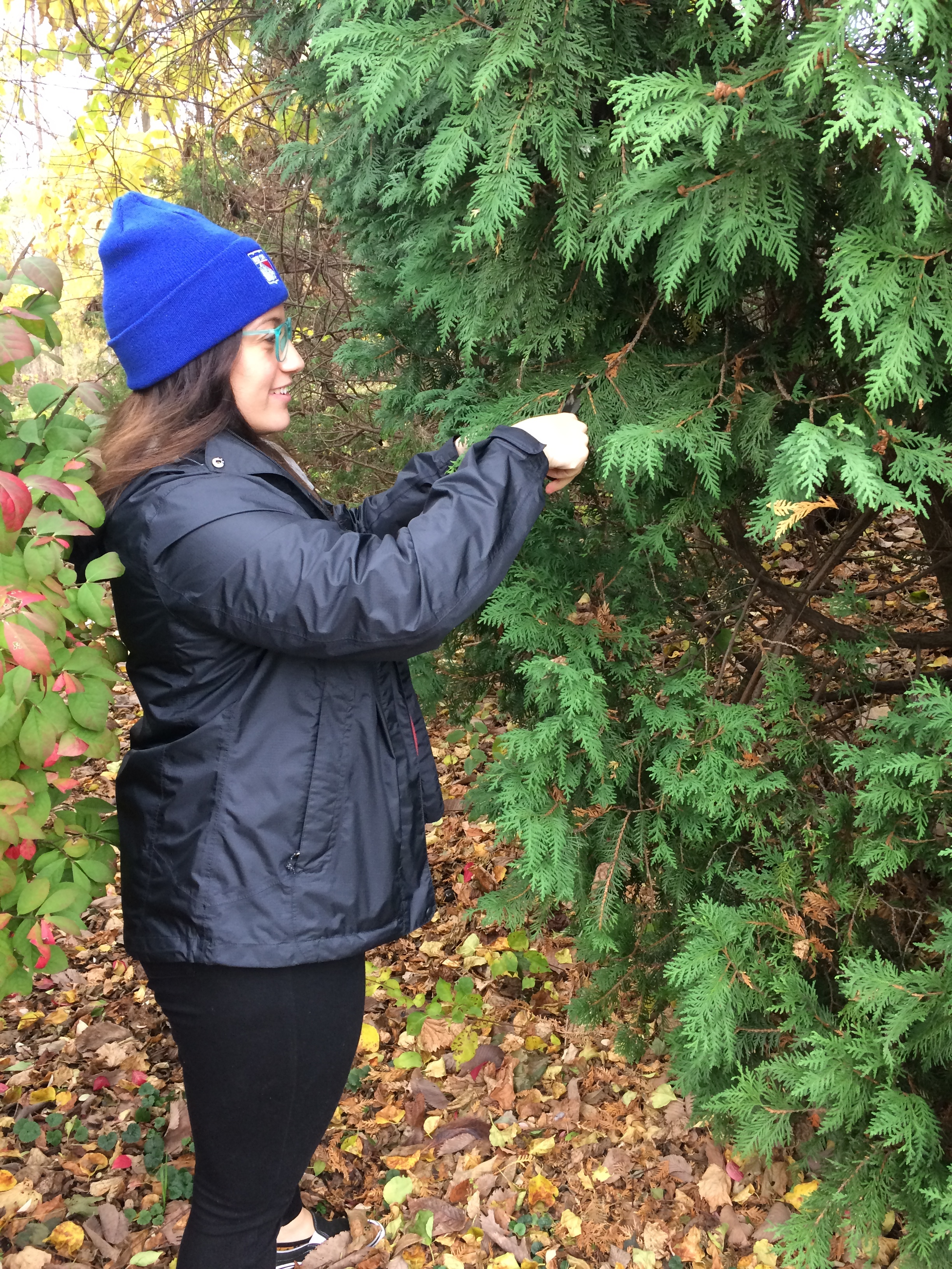 Gathering materials for our smudge stick workshop!