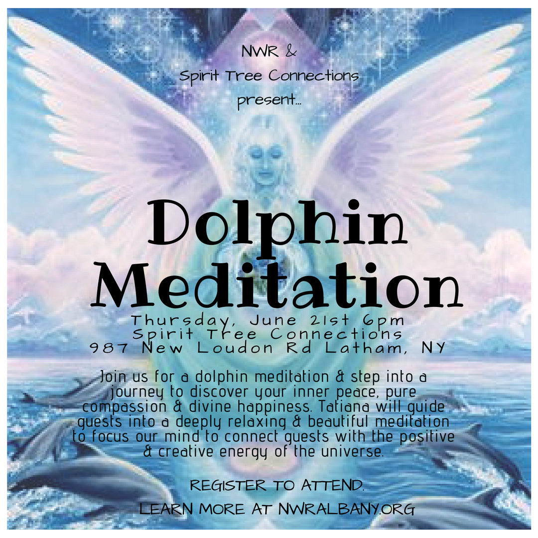 Dolphin Meditation