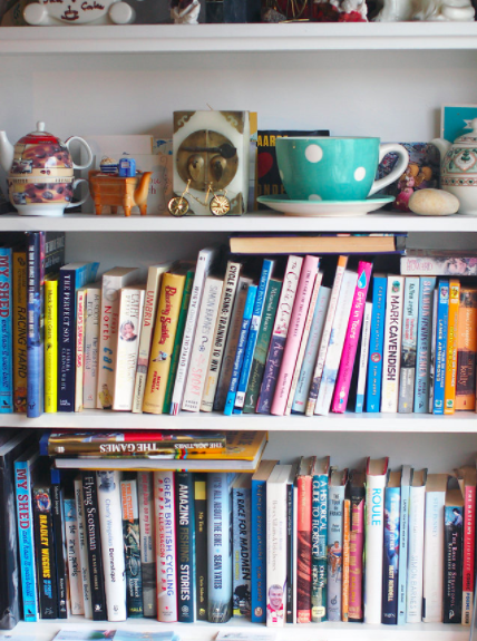 the hub book shelf.png
