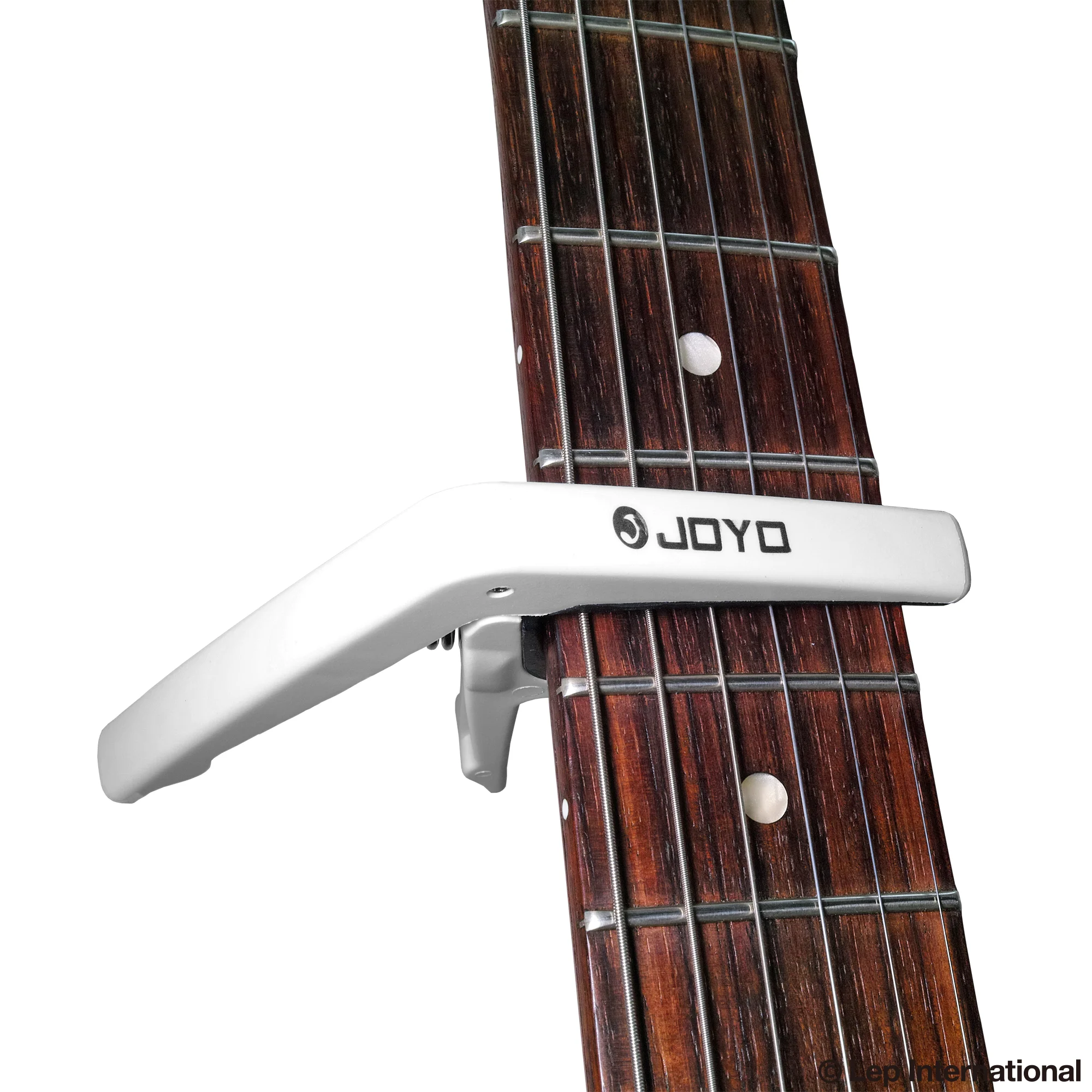 Light-Capo-05.jpg