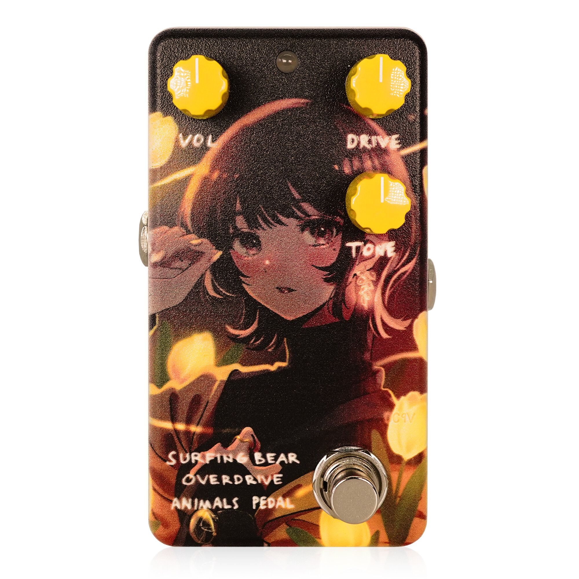 animals pedal Custom Illustrated 022 - 器材