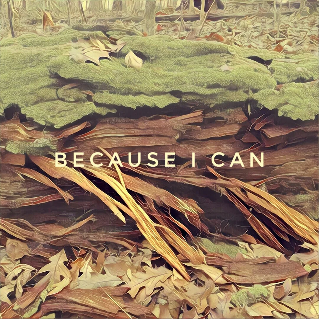 albumArt.jpeg