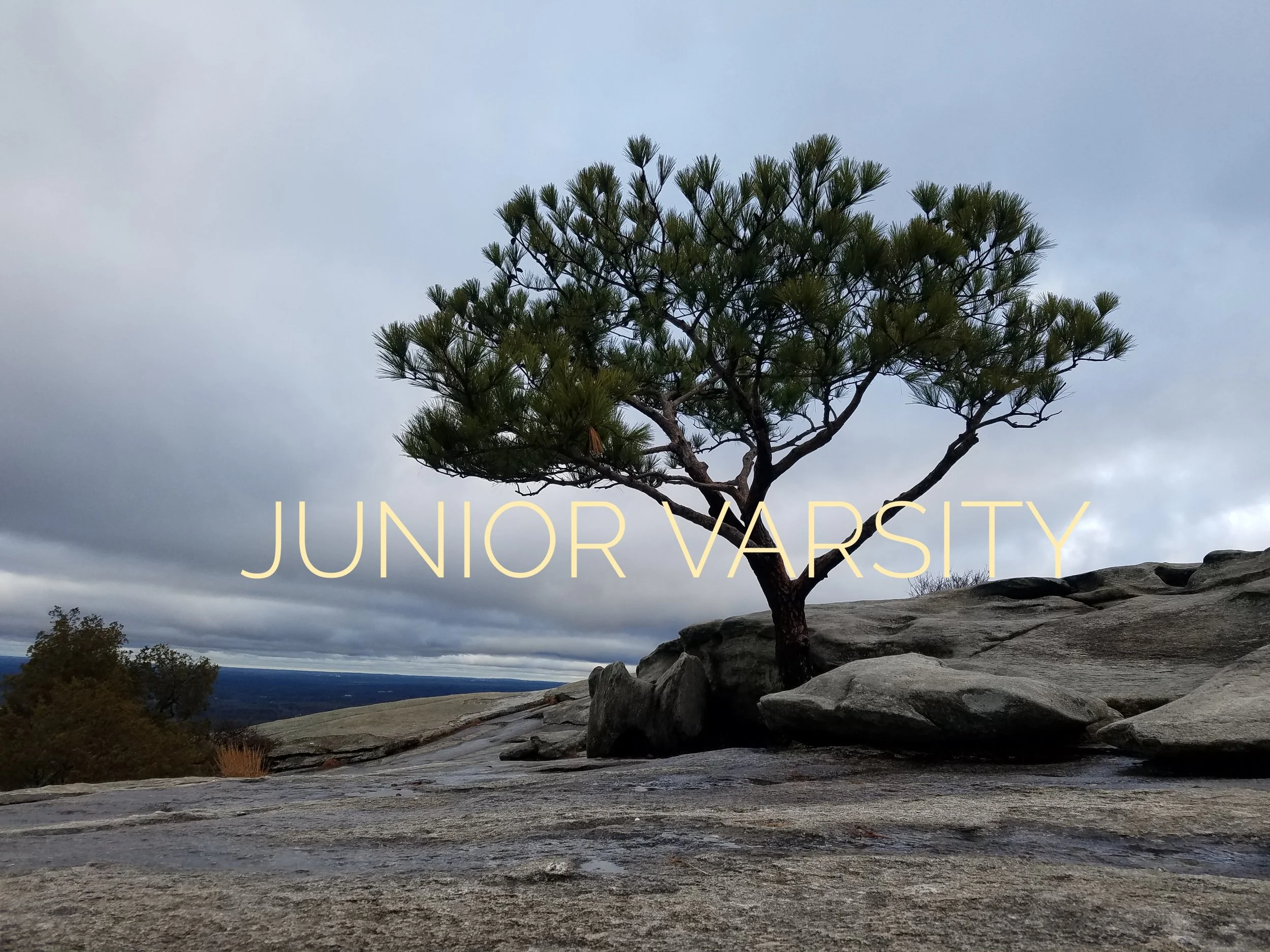 albumArt.jpeg