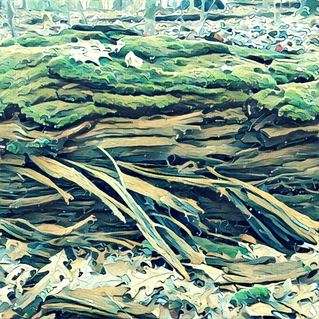  Using the famous " Great Wave of Kanagawa " as the texture piece of the neural network  I love the way the leaves took on the feel of the white-caps from the print 