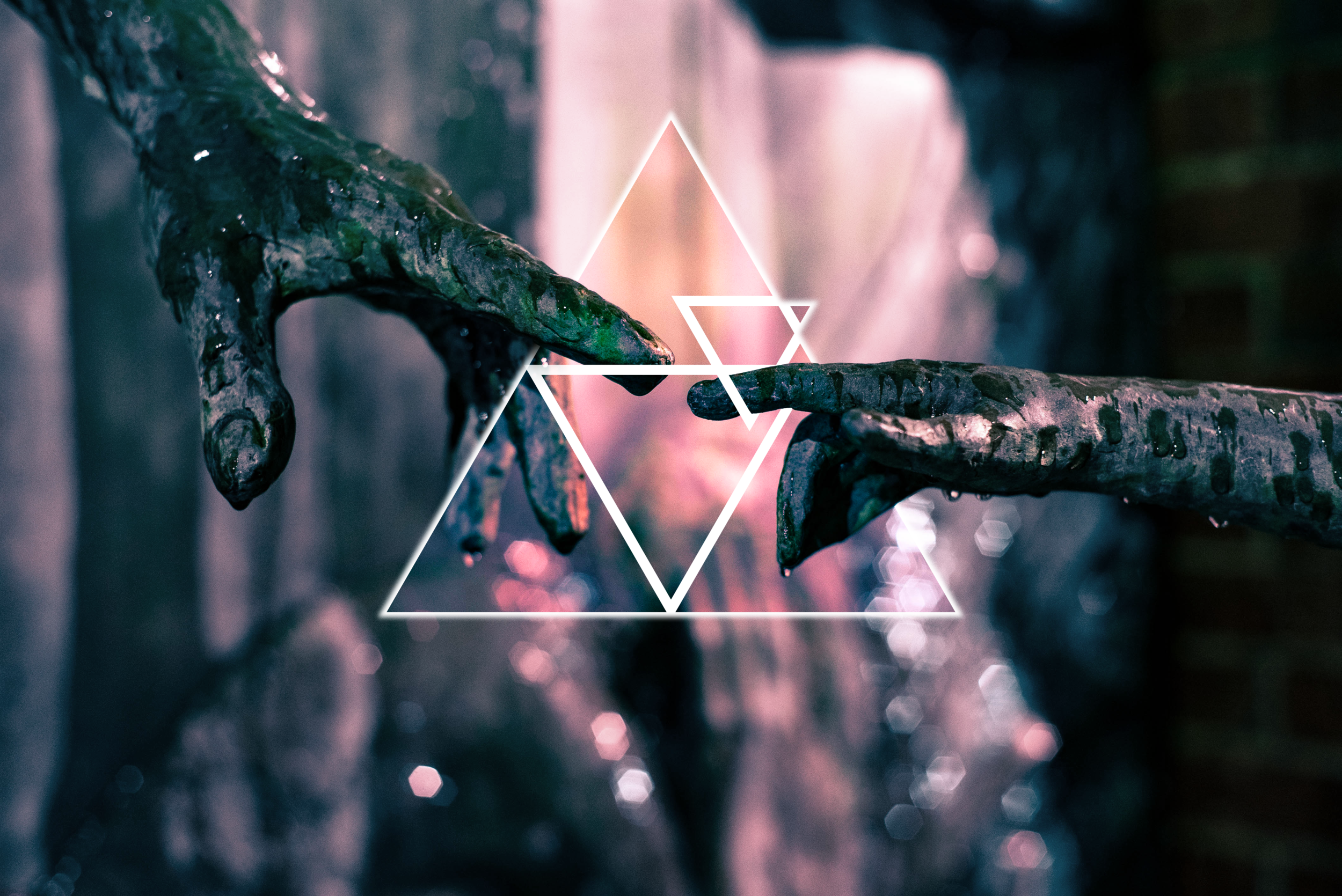 DSC00056.png