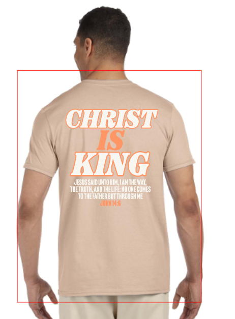 shirt proof back beige men.PNG