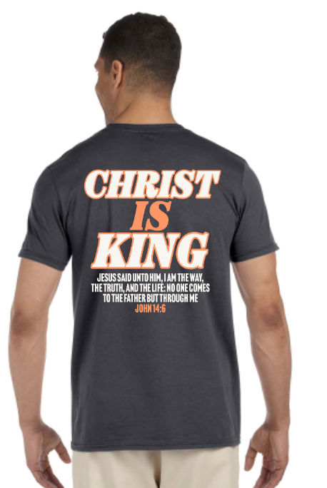 shirt proof back grey men.PNG