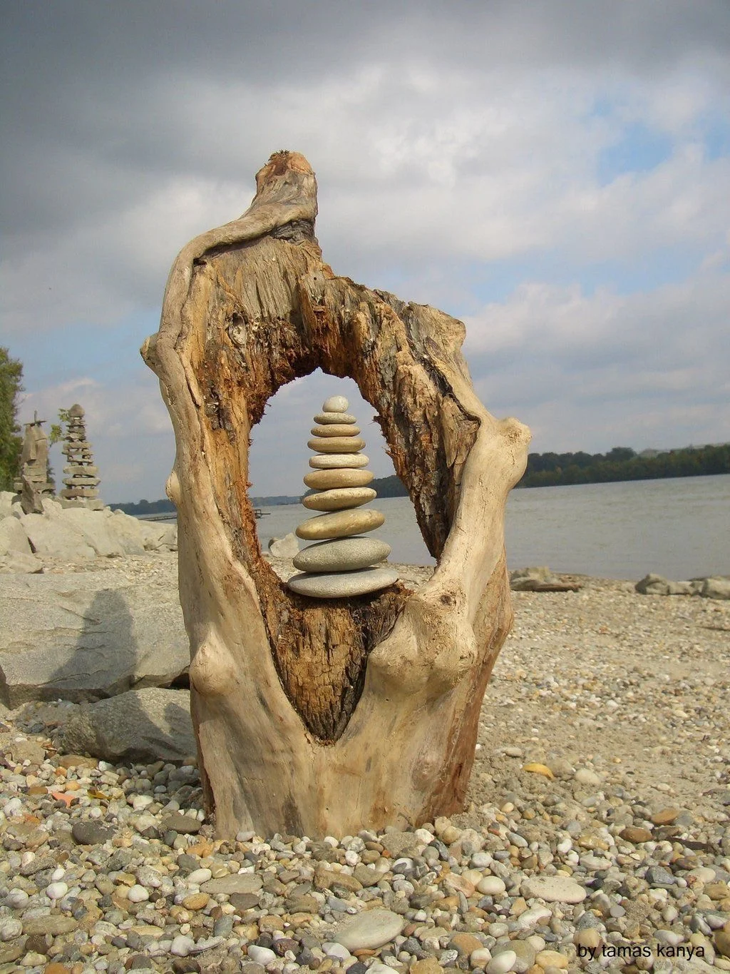 driftwood.jpg
