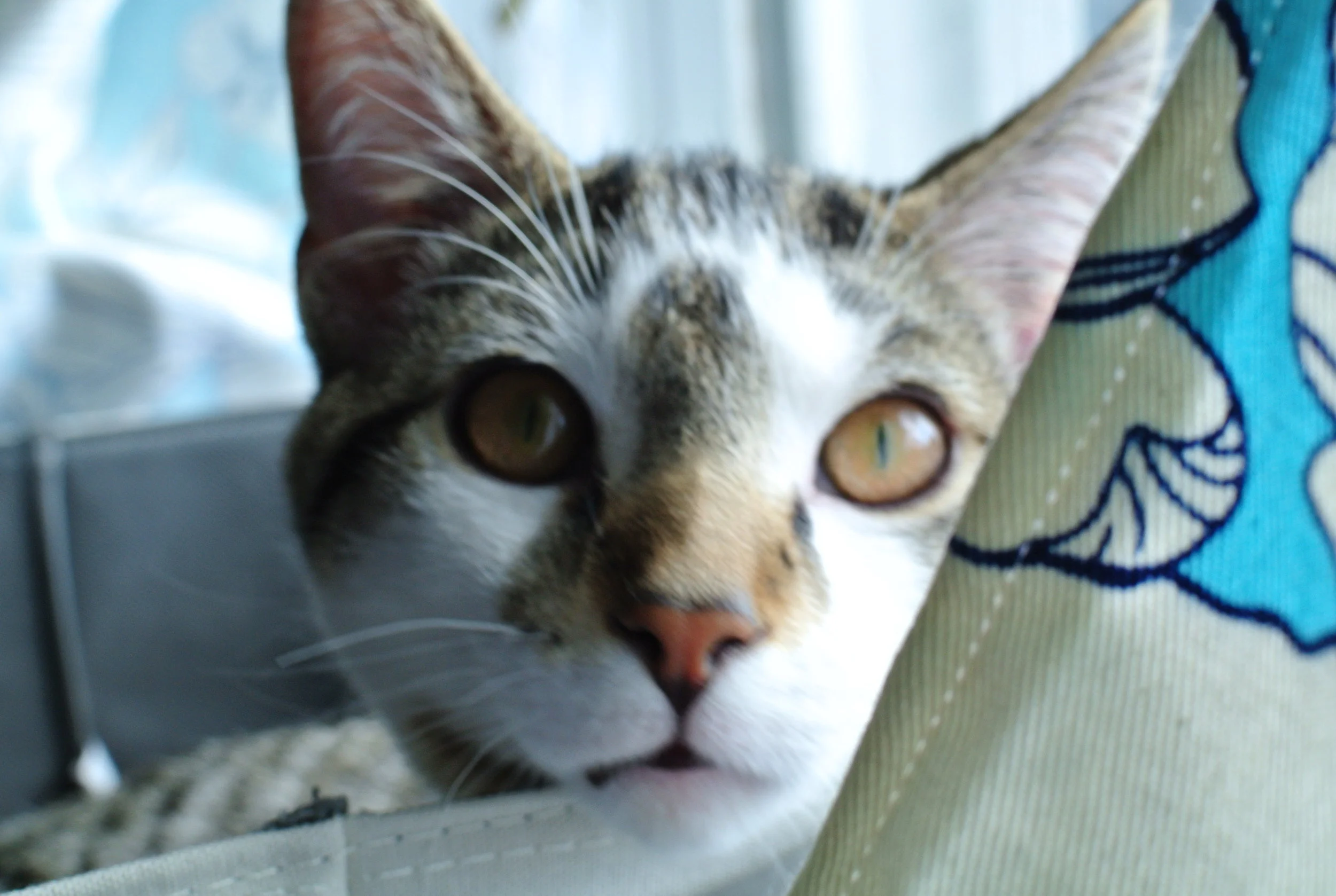 DSC_2573.JPG
