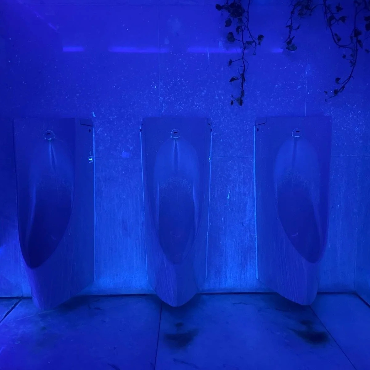 2025 Macao International Art Biennale 2025