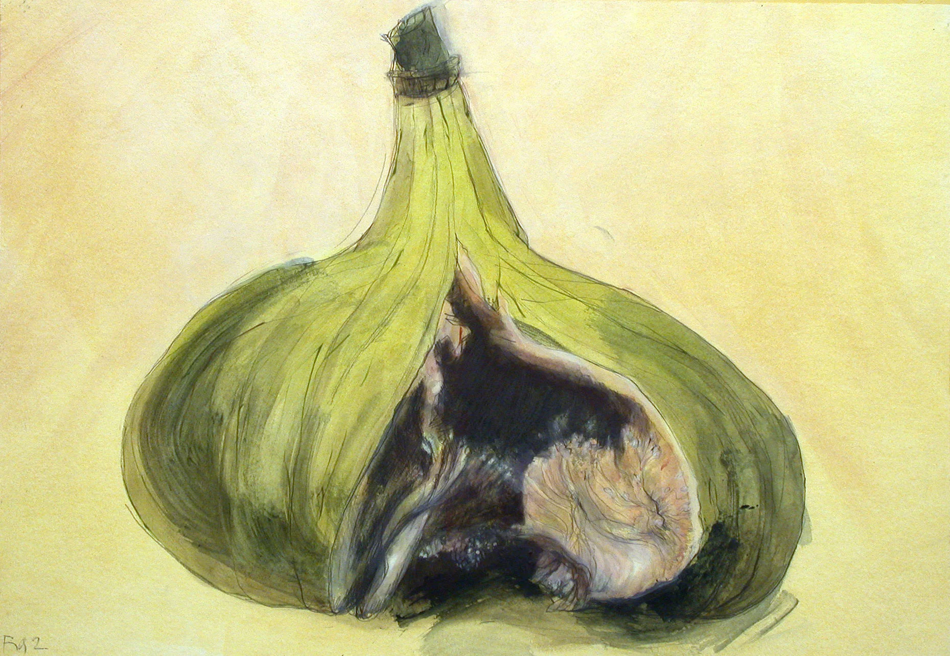 FIgs-1---6-Studies-of-fleshy-fruit-(4).jpg