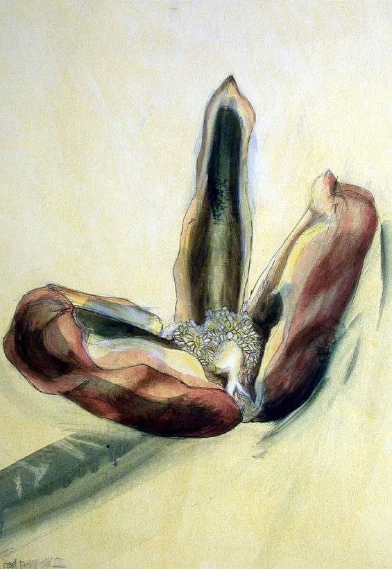 FIgs-1---6-Studies-of-fleshy-fruit-(3).jpg