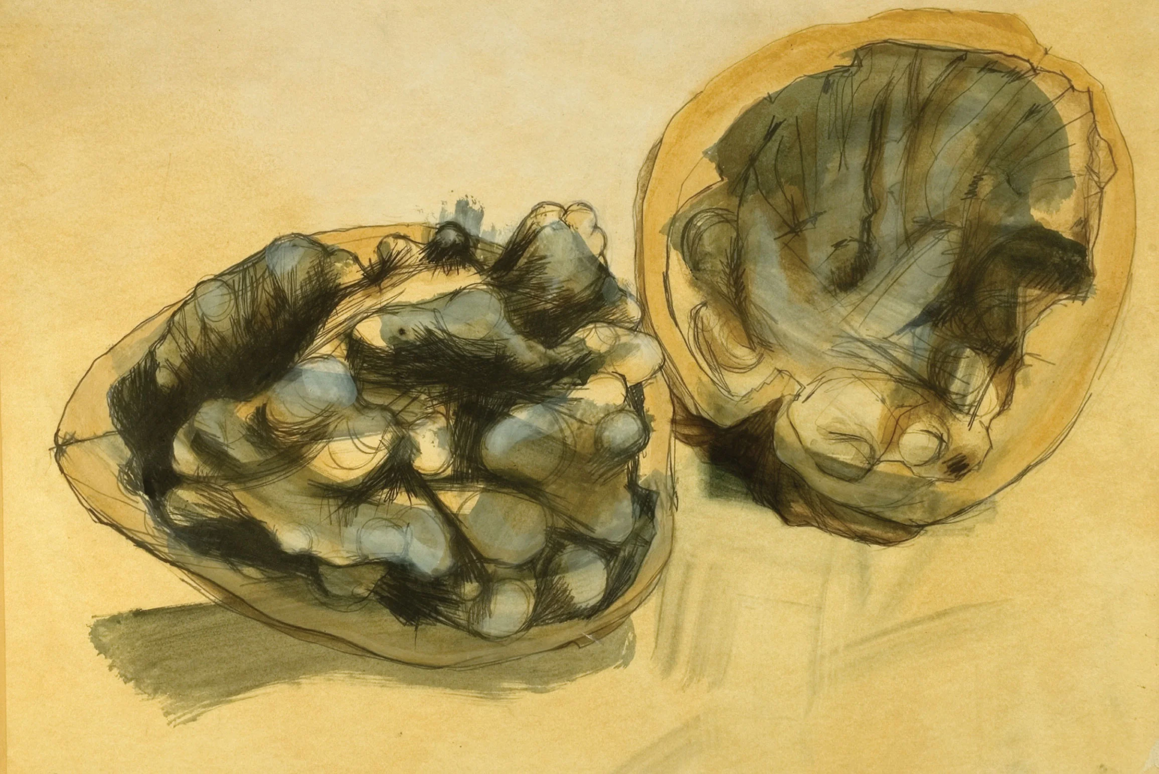 FIgs-1---6-Studies-of-fleshy-fruit-(2).jpg
