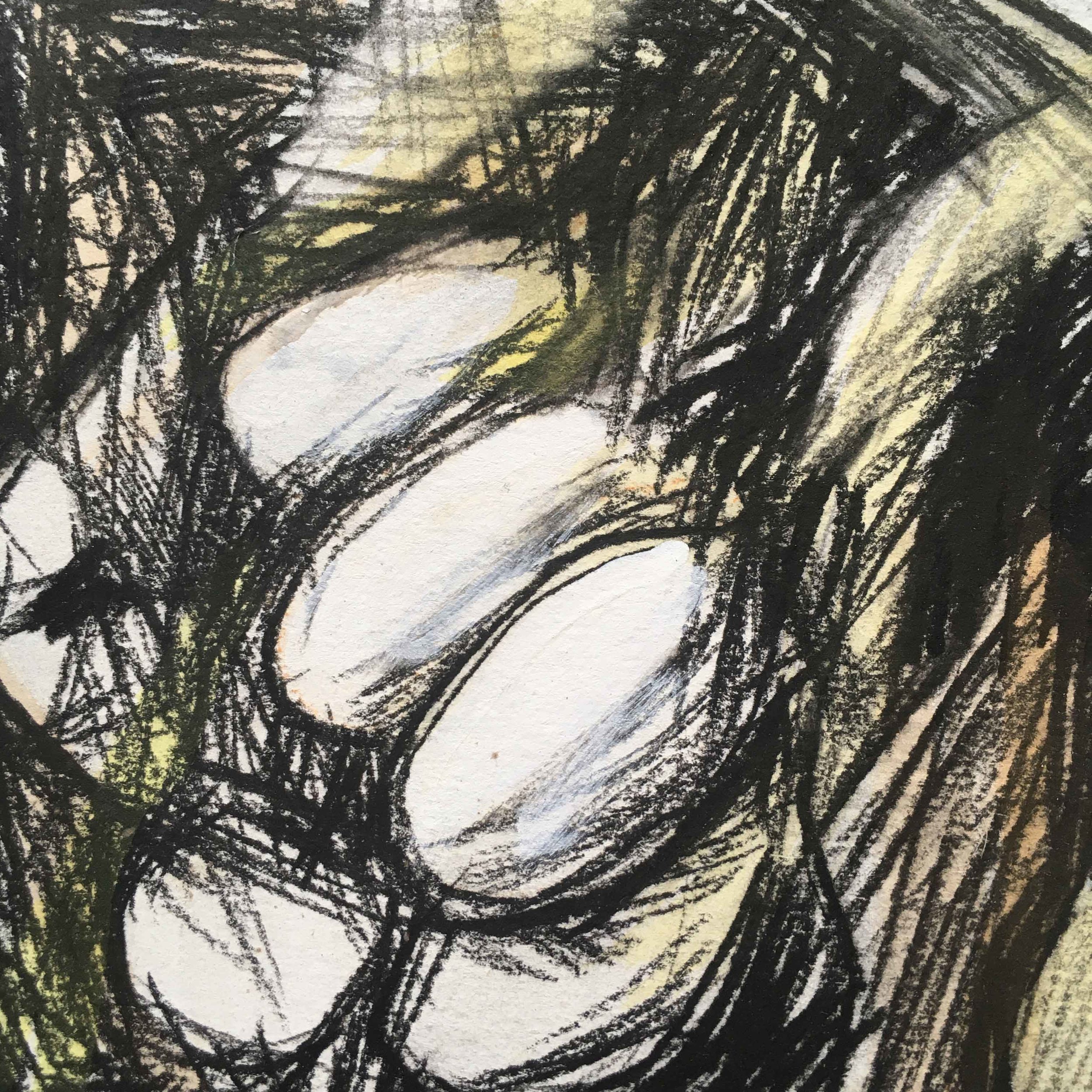Pumpkin-drawing-detail-(5).jpg