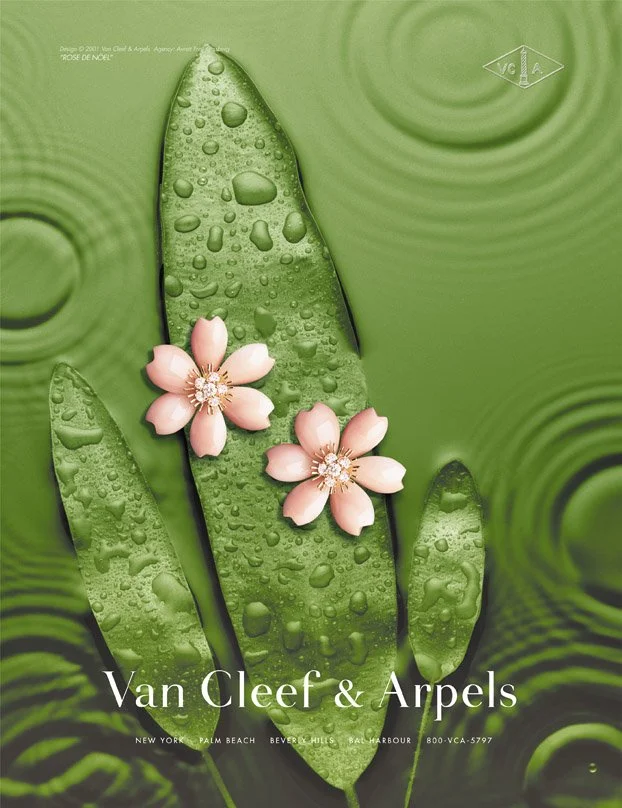 Close-up of a green cactus with water droplets and two pink flowers on it, with ripples in the water in the background.