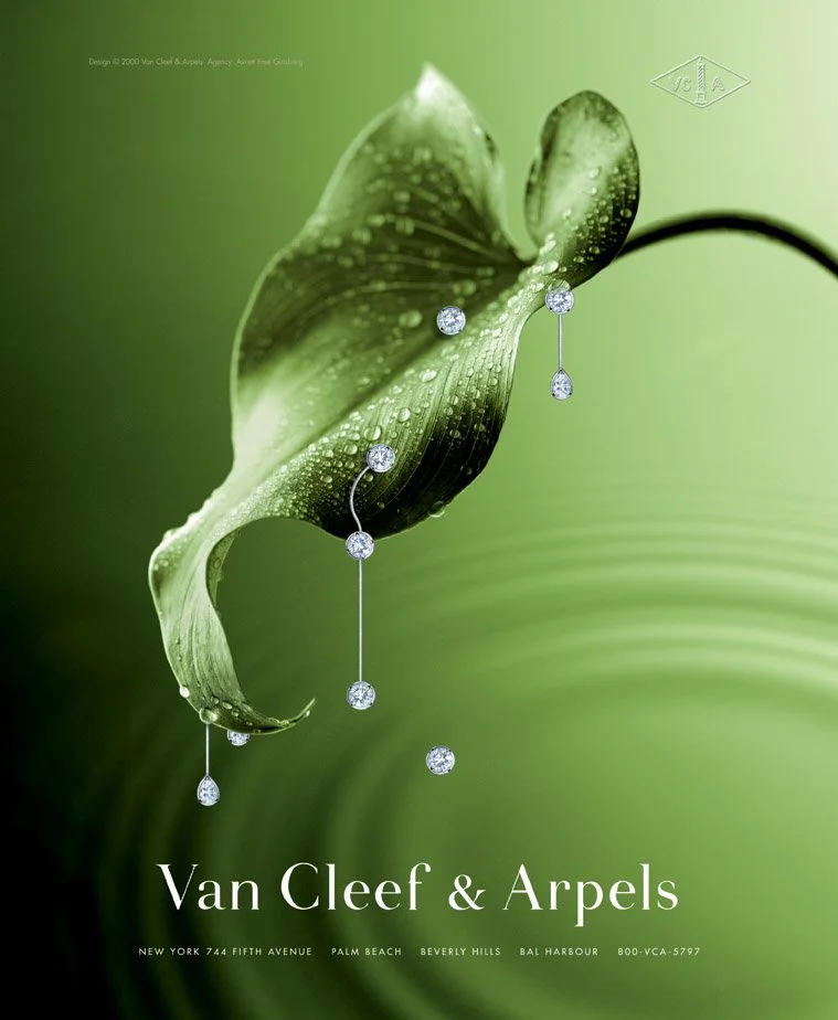 A pair of diamond earrings hanging from a green leaf with water droplets on it, against a soft green background.