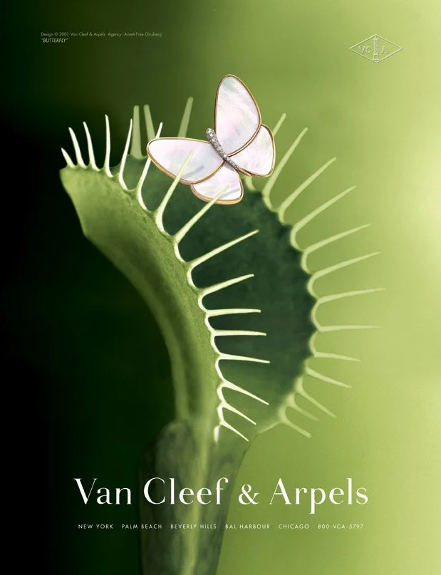 A butterfly-shaped diamond ring resting on the edge of a green Venus flytrap plant with spiky leaves.