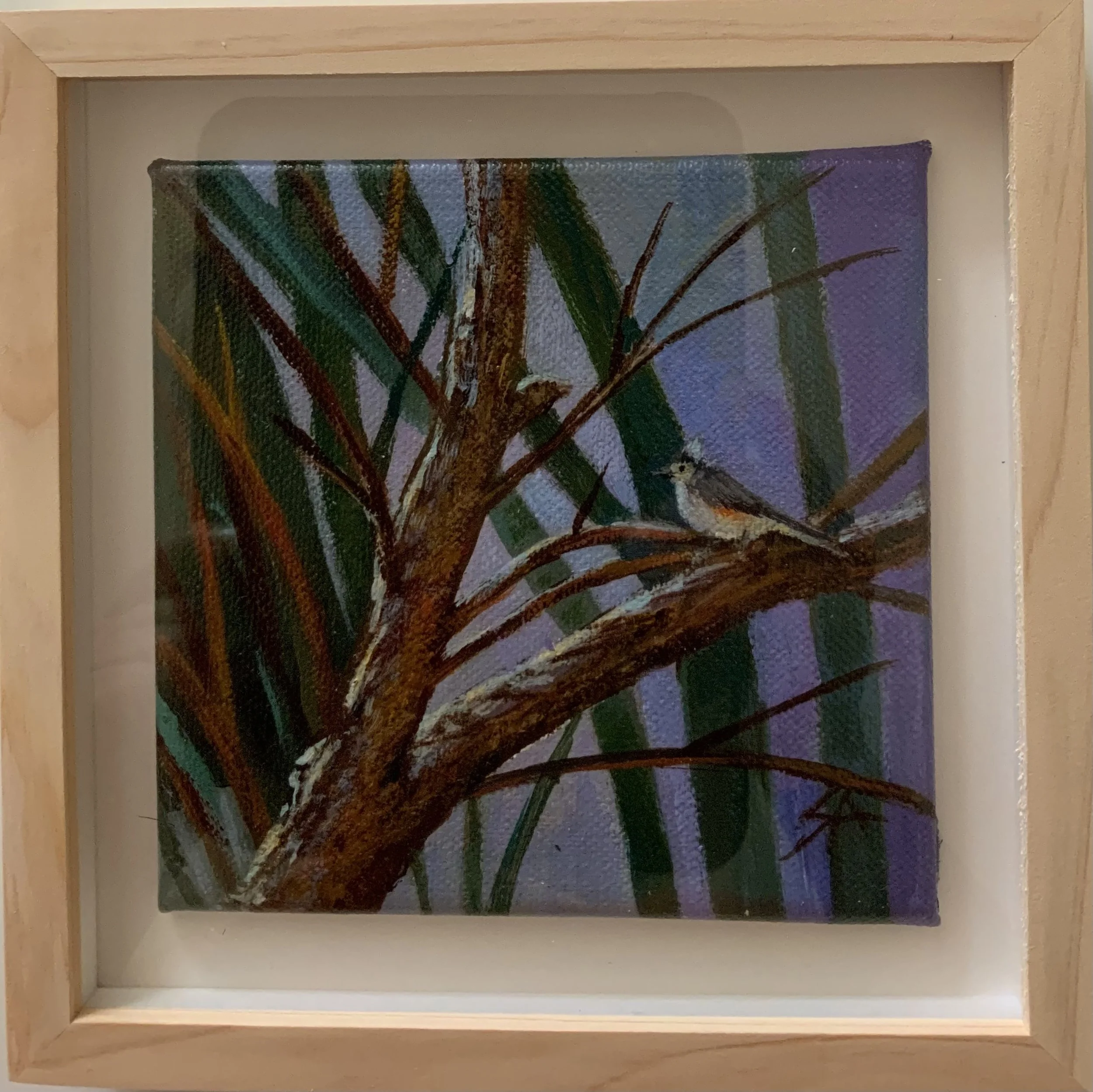 Bird On Tree  Branch