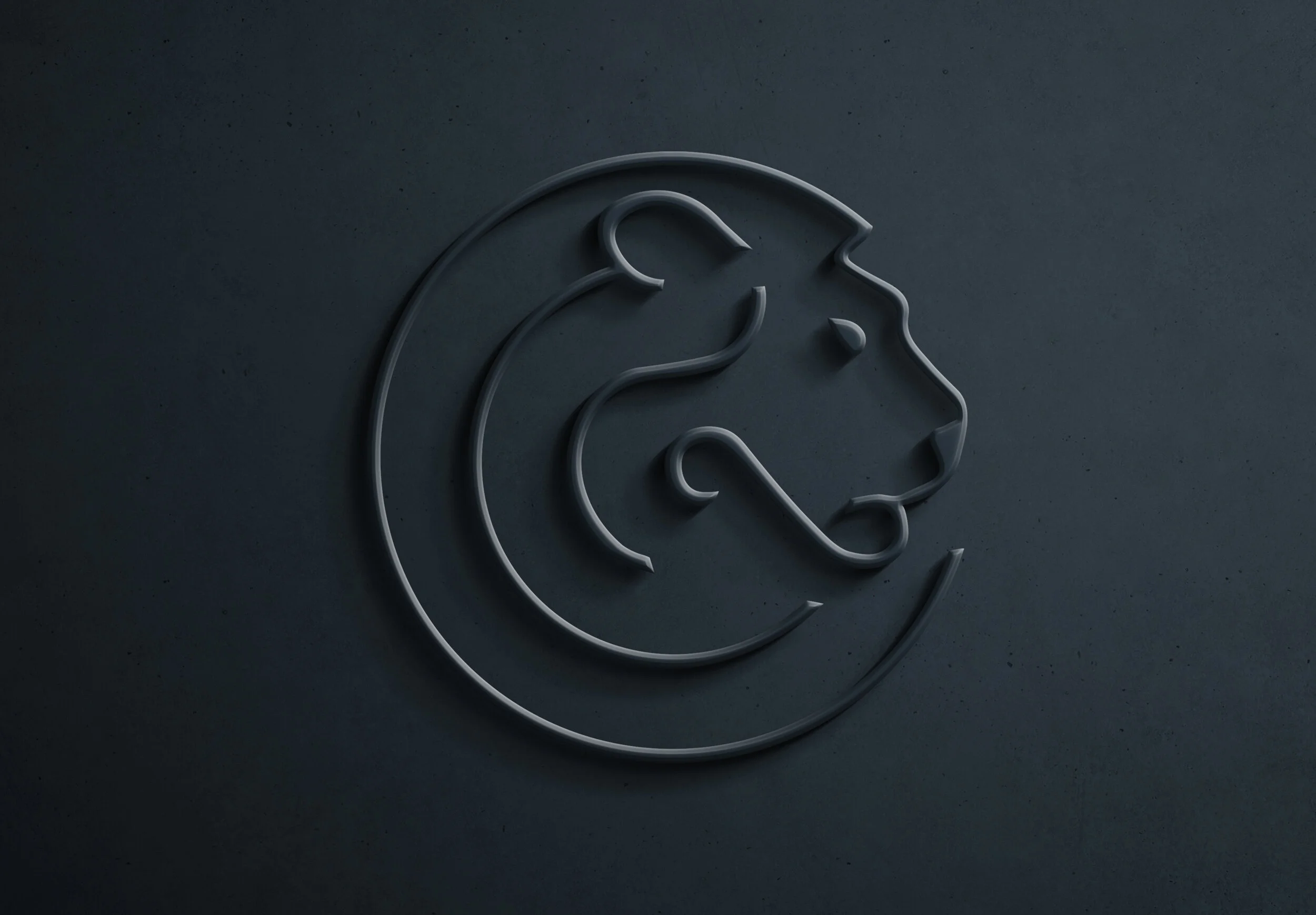 EMR icon embossed.jpg