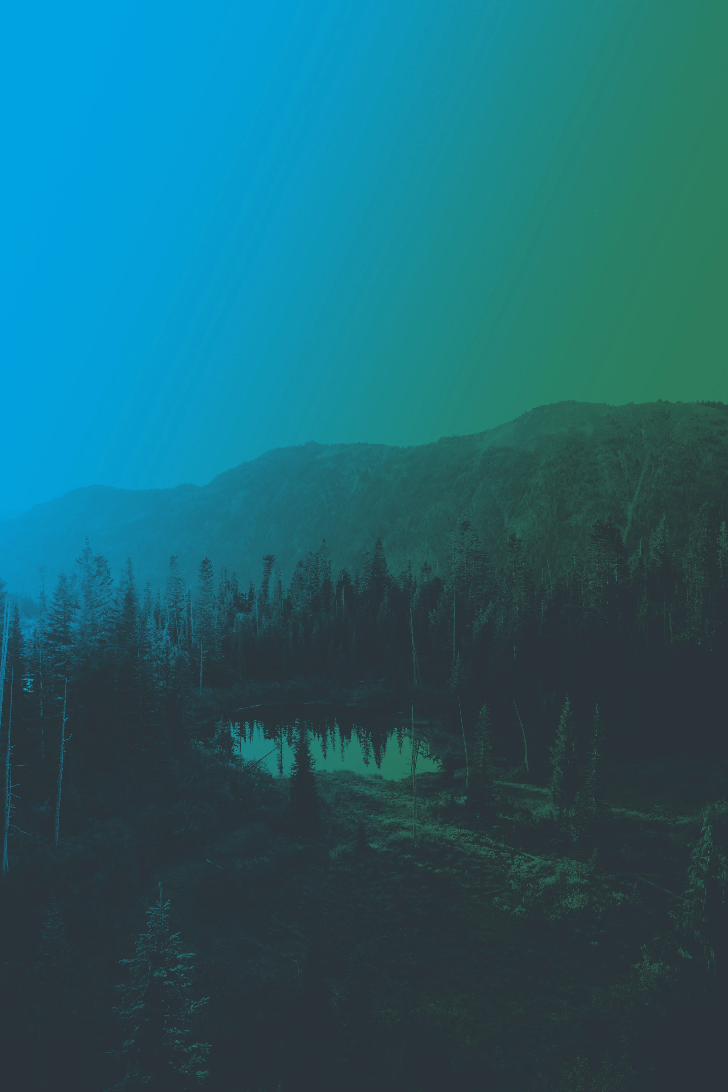 mt-rainier-gradient.jpg