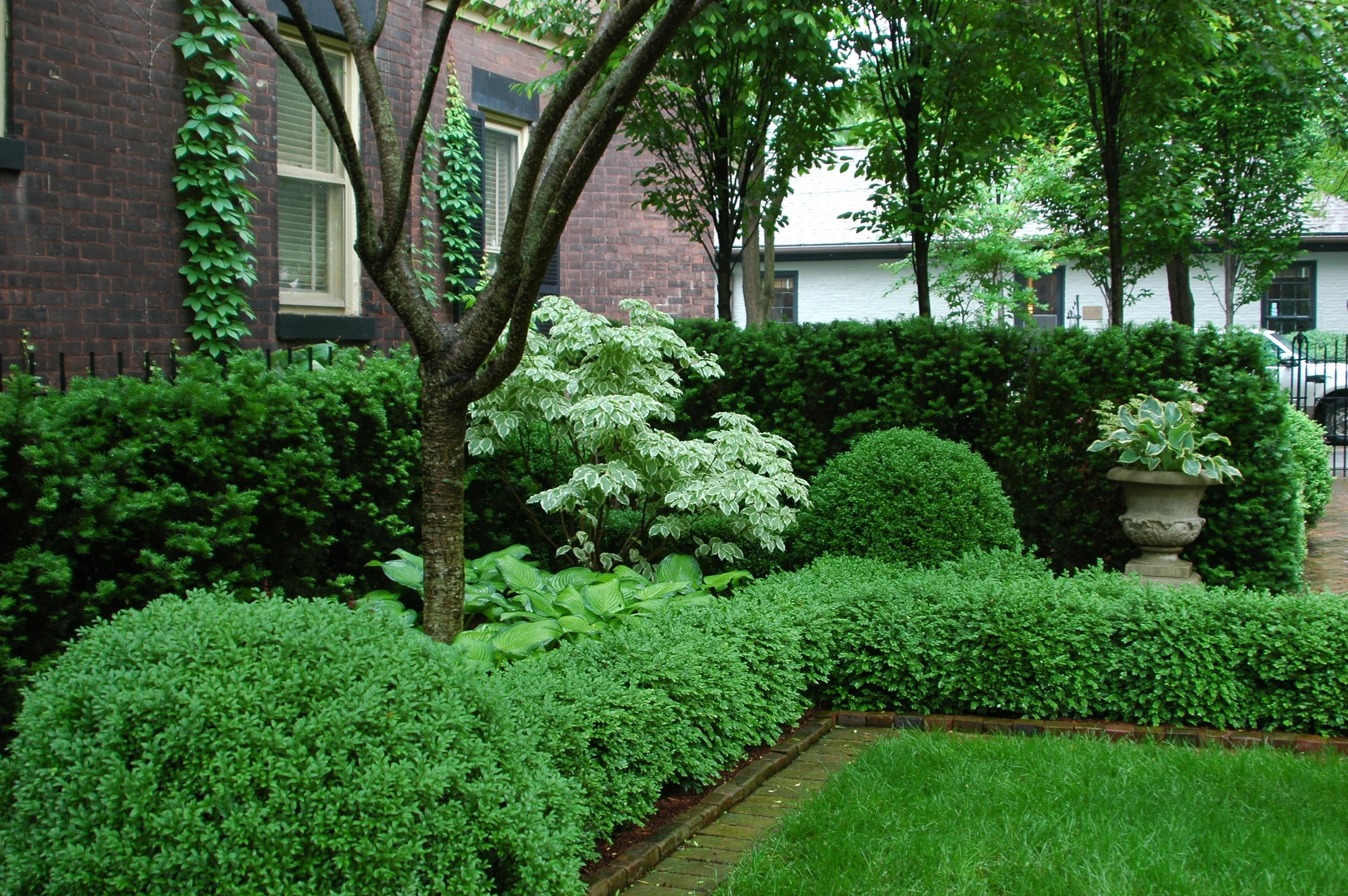 DSC_0008_3.JPG