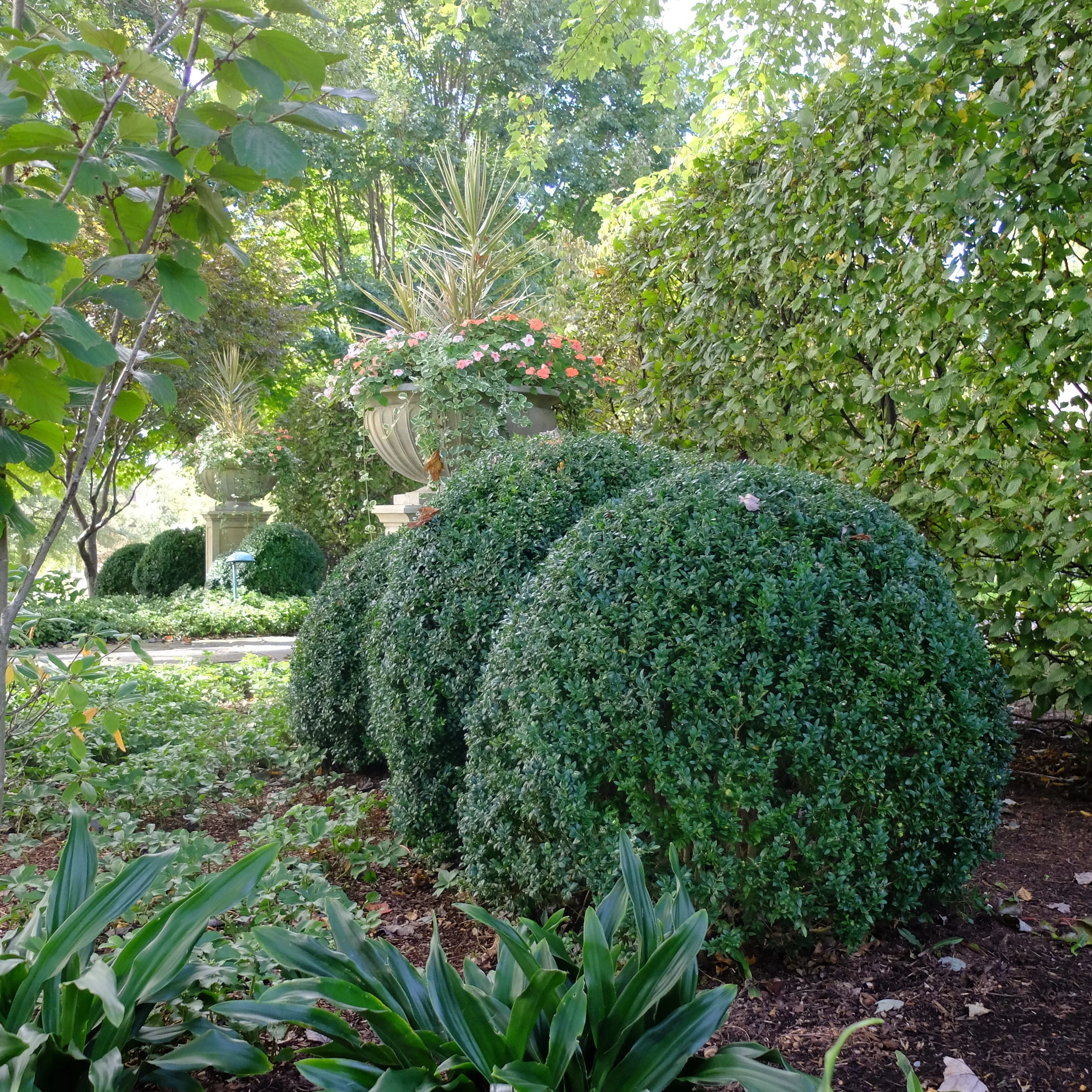 DSCF0366.JPG