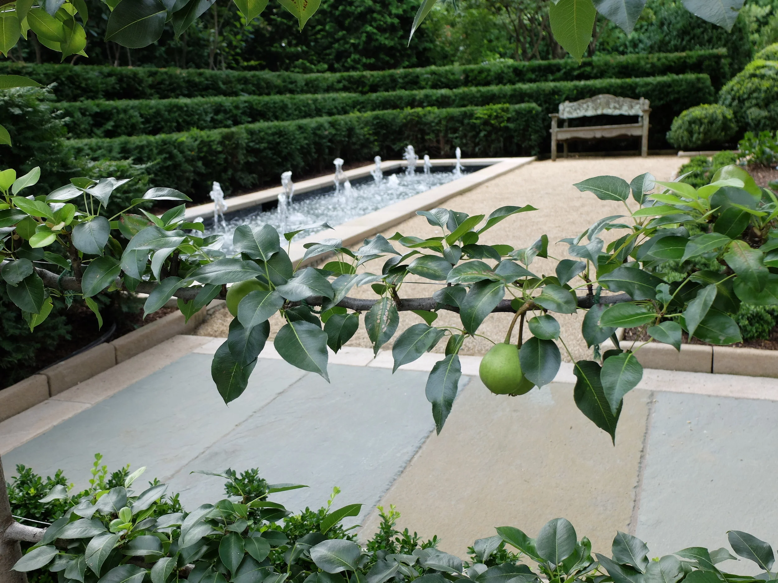 DSCF3716.JPG
