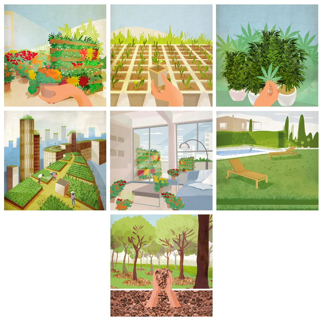 ilustraciones