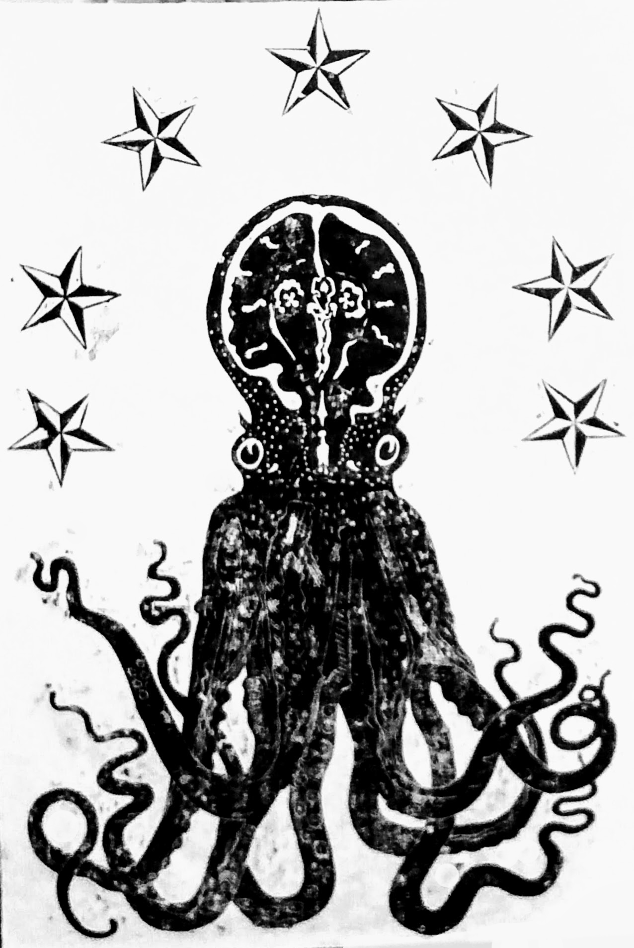 black octopus 36 x 24 in.jpg