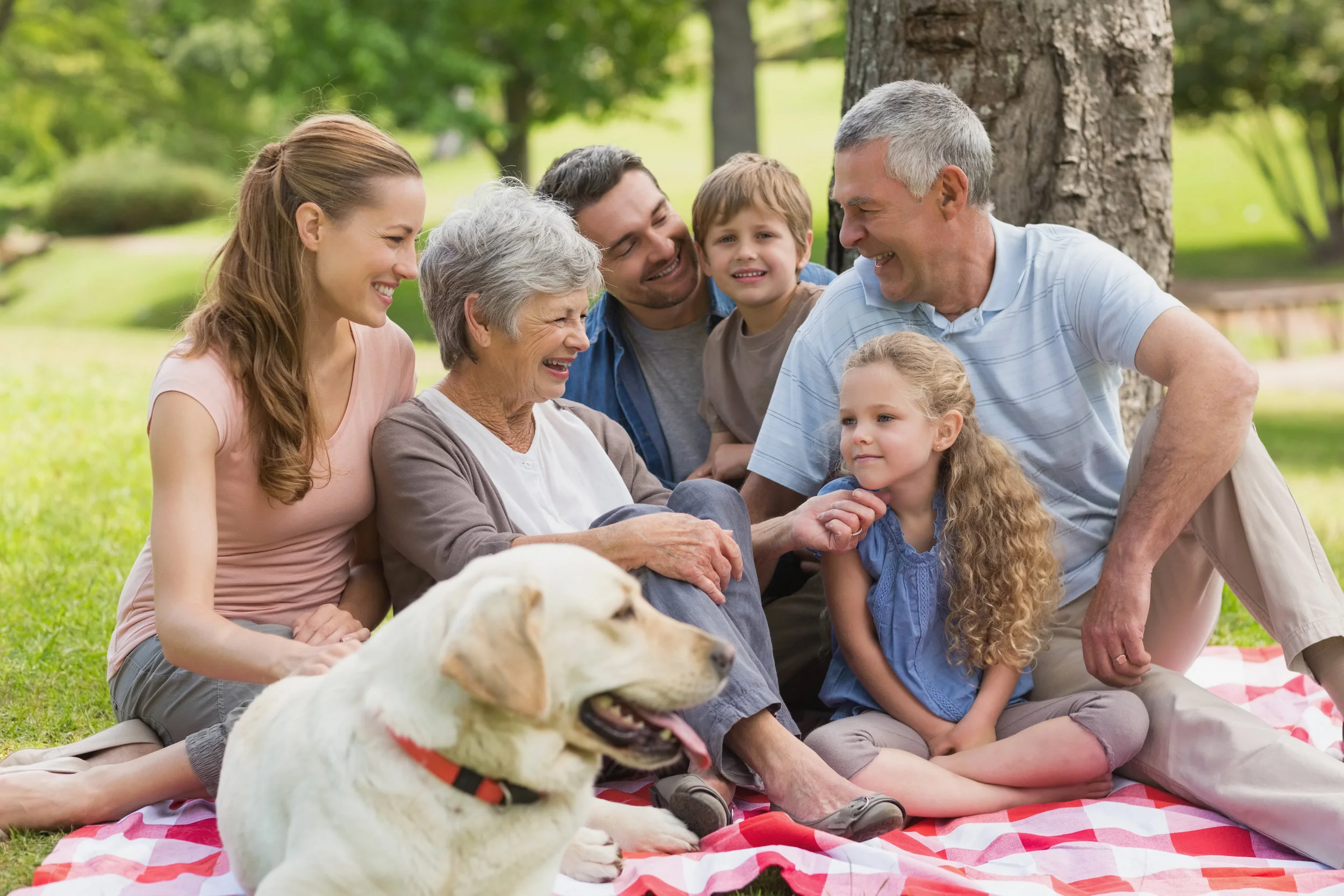 Many people could benefit from sedation.