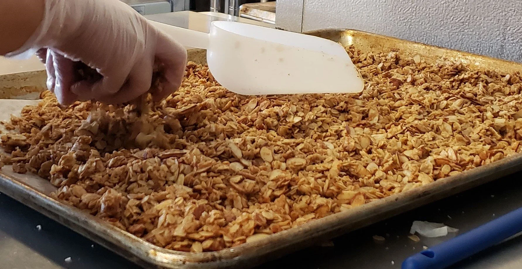 20190927 mc granola close up unbagged.jpg
