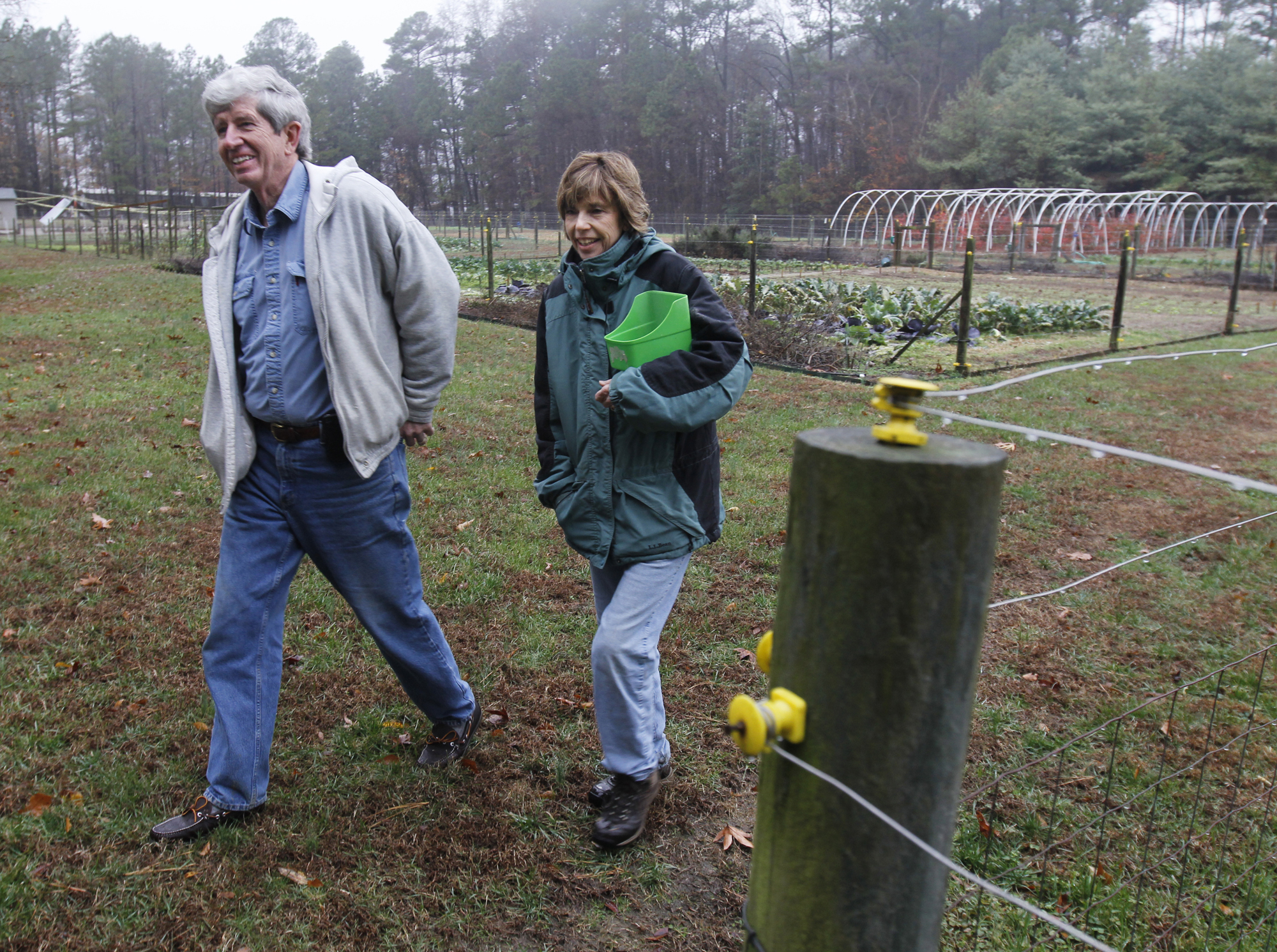 Field Photo by Harry Lynch.jpg