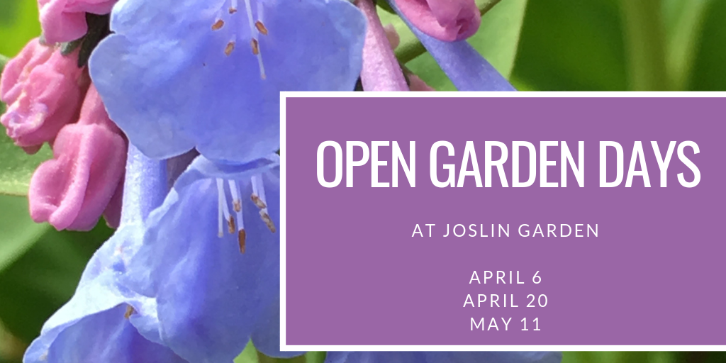 Open Garden Banner 2019.png