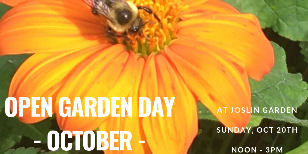 Fall Open Garden Banner 2019.png