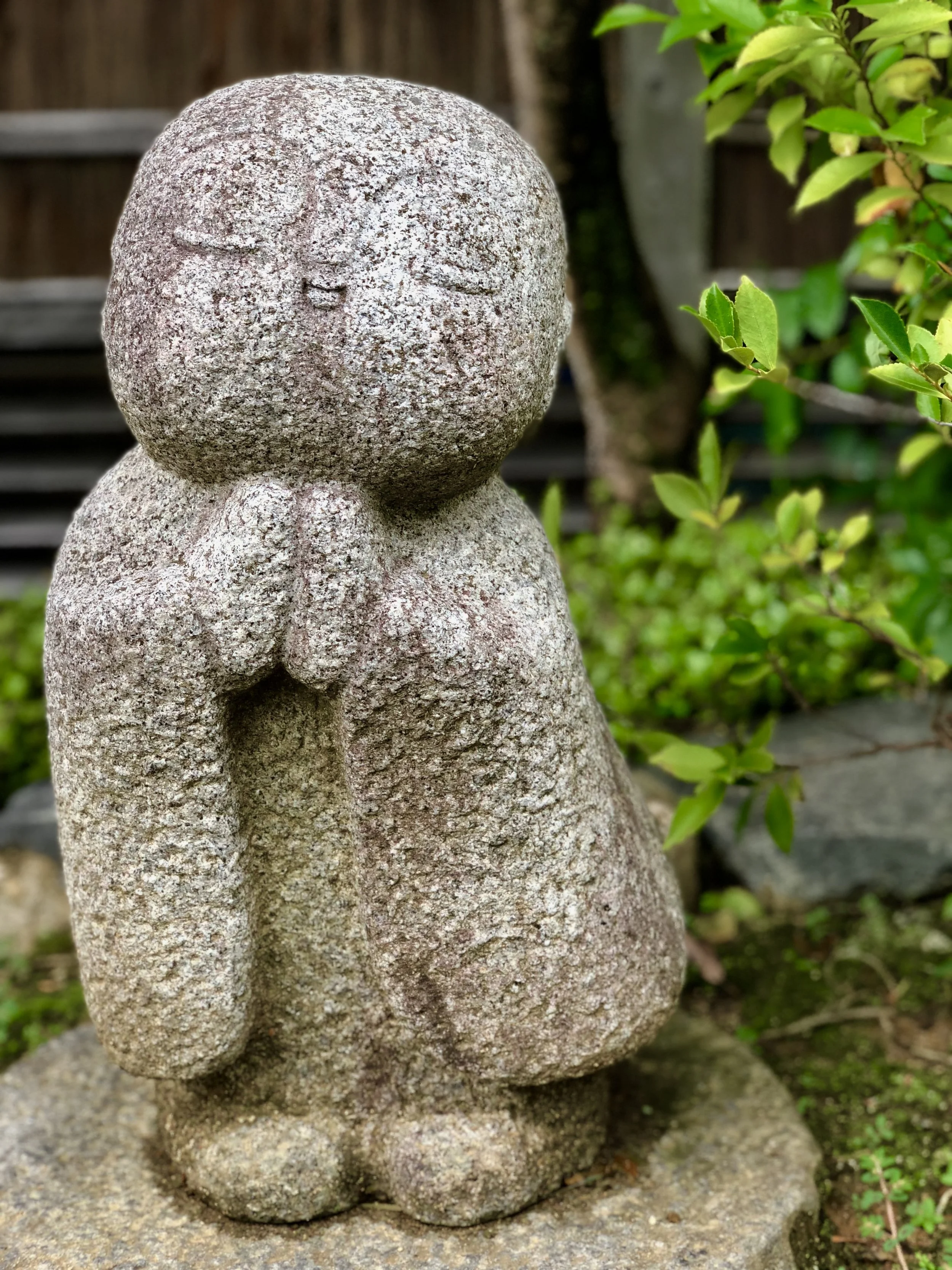 Embrace Tiger, Return to Mountain