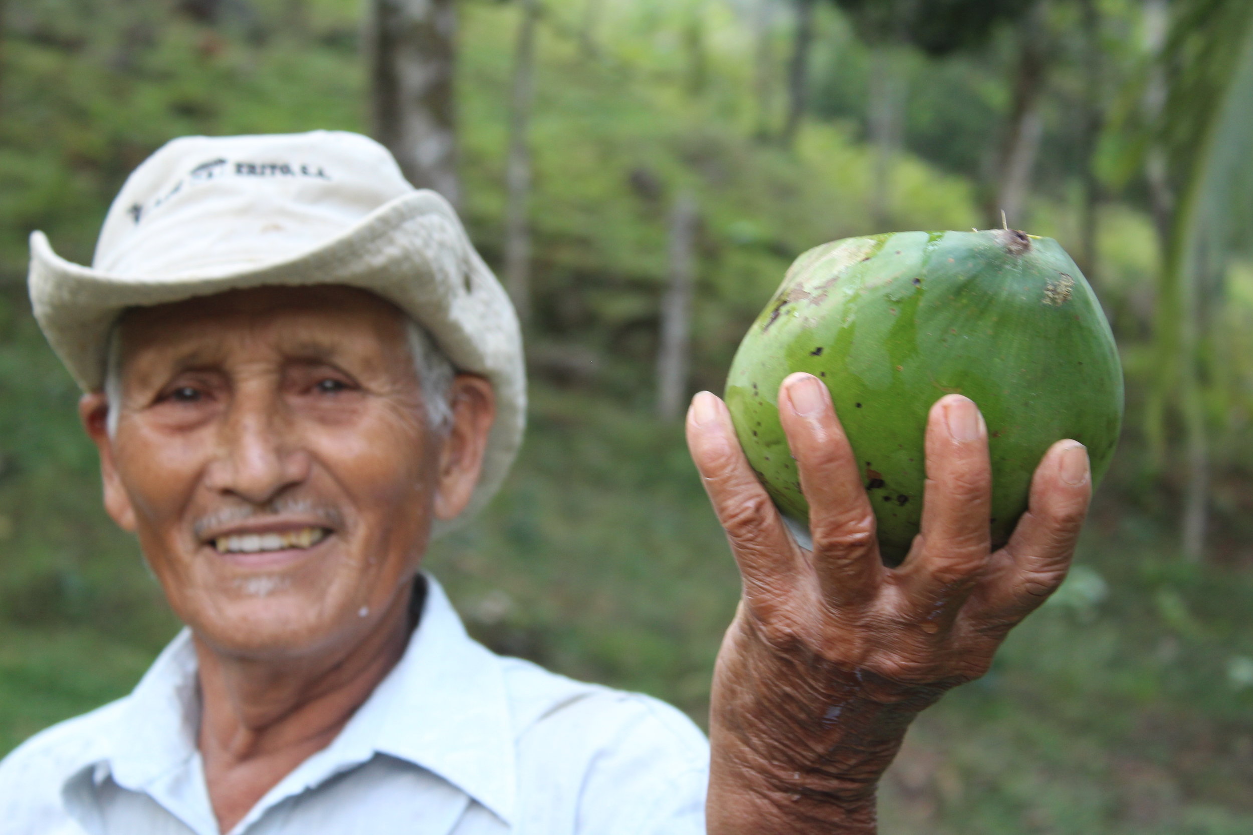 The property owner serving us cool coconut water.