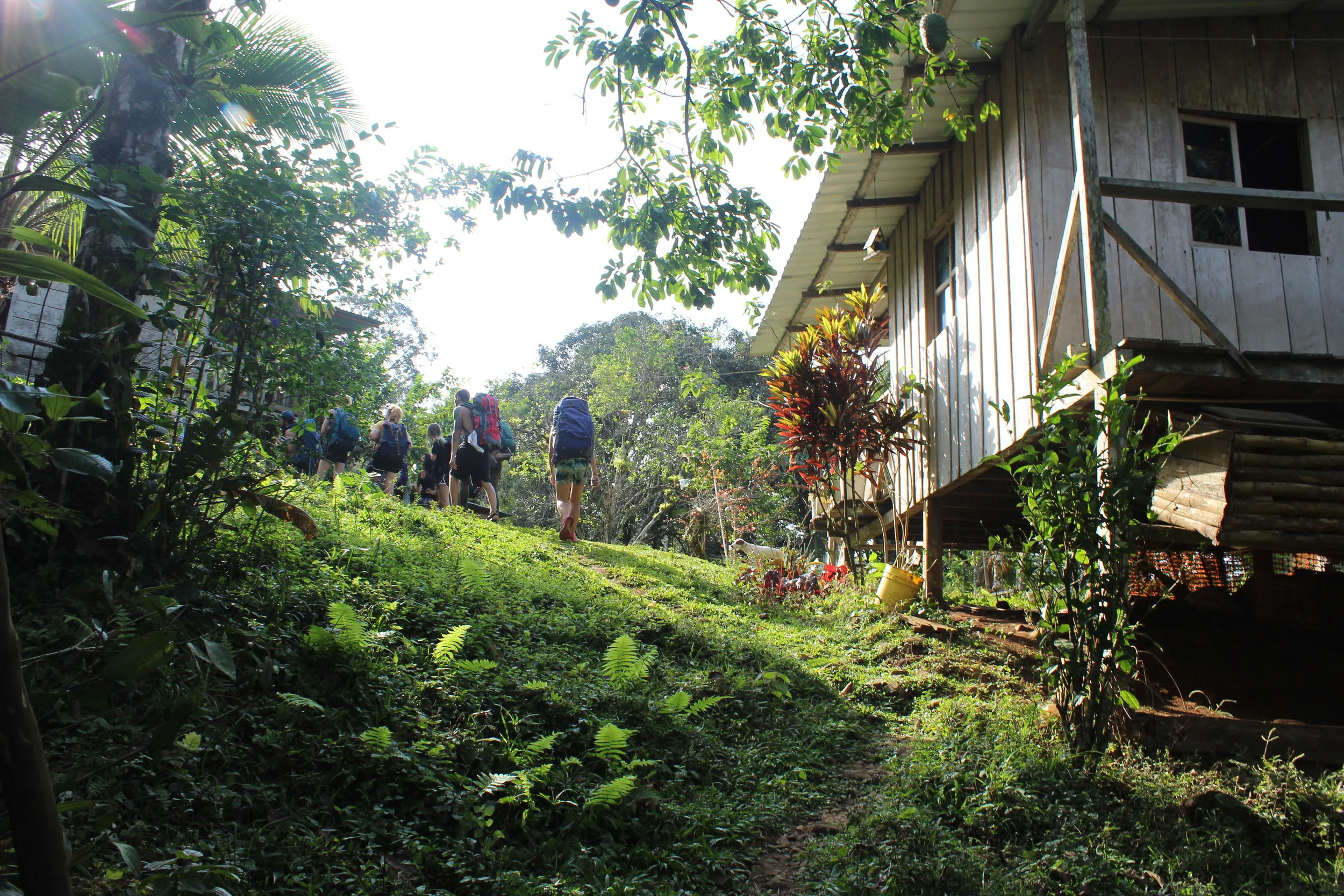 Departing from the finca (ranch) in the Chagres Park.